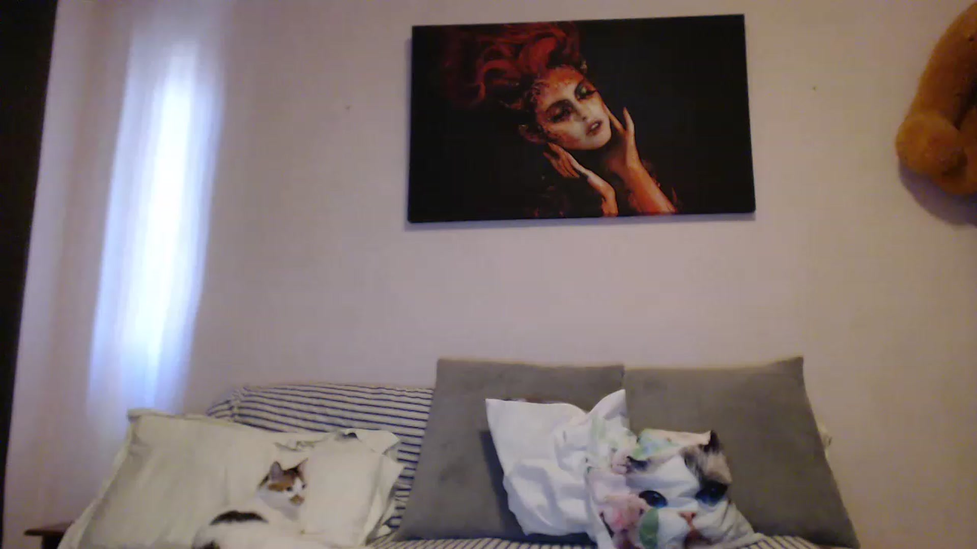 Gallery image thumbnail from Aahh_Emilia's myfreecams stream on, 05/02/2023, 15:54 image 14 of 20