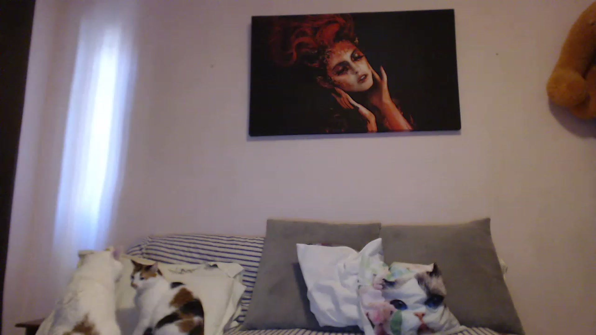Gallery image thumbnail from Aahh_Emilia's myfreecams stream on, 05/02/2023, 15:54 image 13 of 20