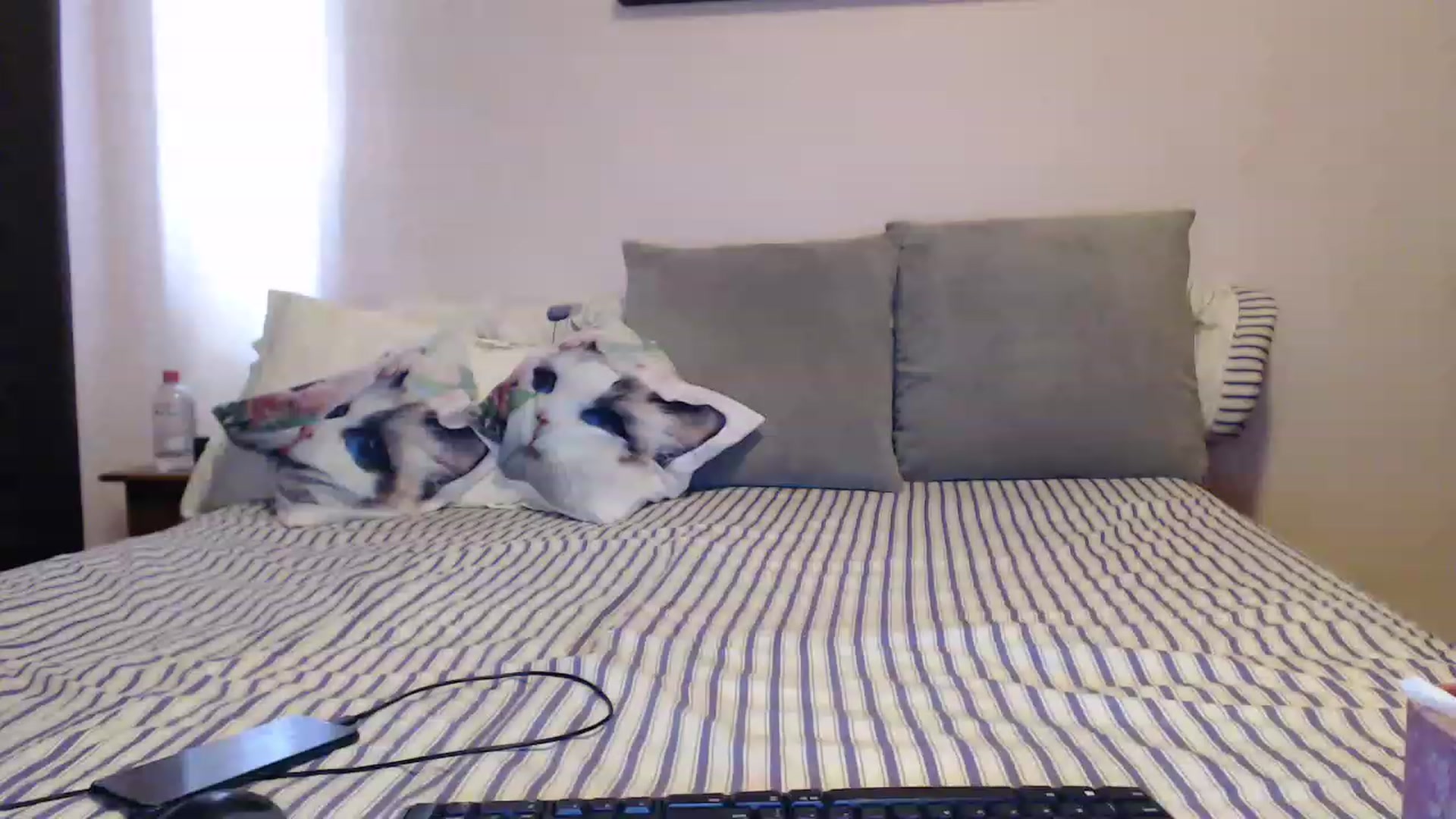 Gallery image thumbnail from Aahh_Emilia's myfreecams stream on, 05/03/2023, 14:36 image 1 of 20