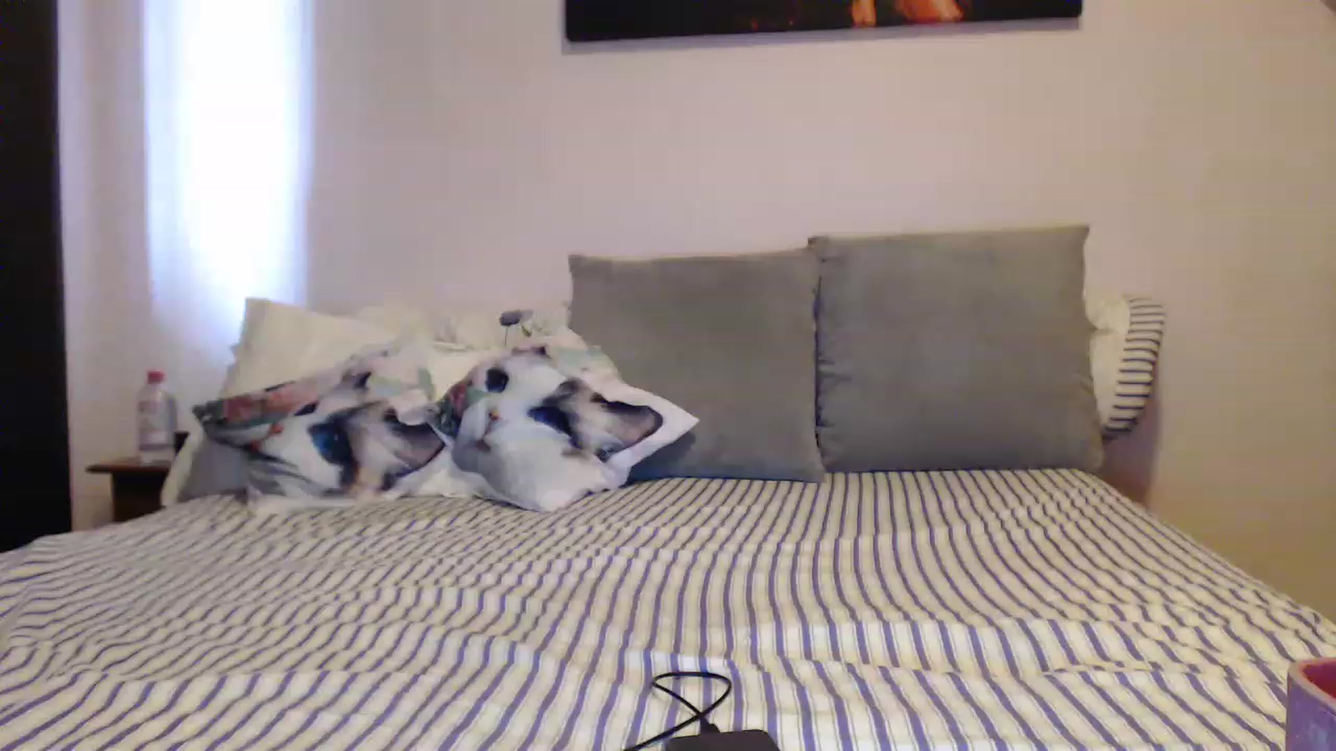 Gallery image thumbnail from Aahh_Emilia's myfreecams stream on, 05/03/2023, 14:36 image 15 of 20