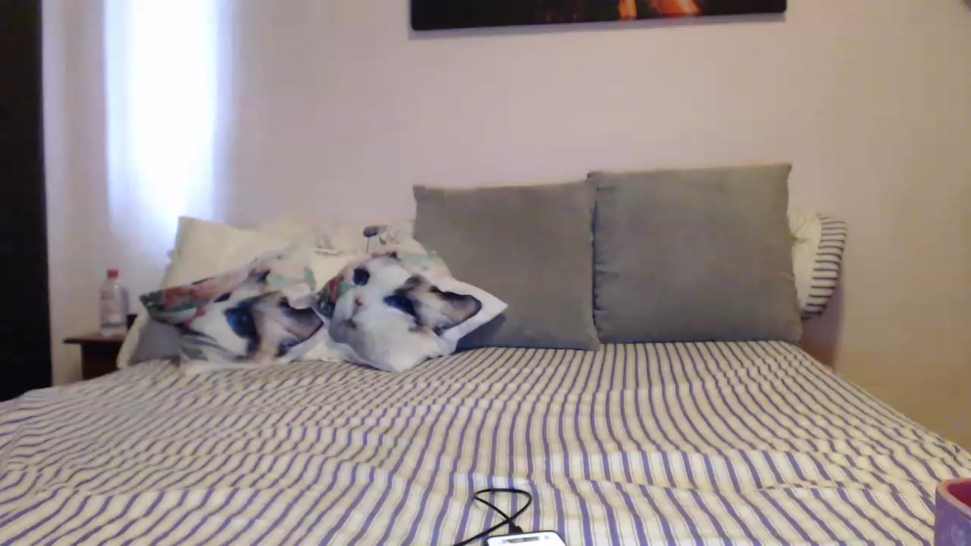 Gallery image thumbnail from Aahh_Emilia's myfreecams stream on, 05/03/2023, 14:36 image 14 of 20