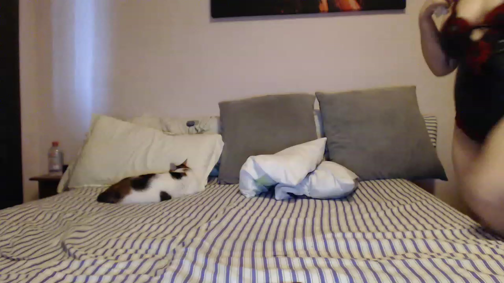 Gallery image thumbnail from Aahh_Emilia's myfreecams stream on, 05/03/2023, 17:01 image 17 of 20