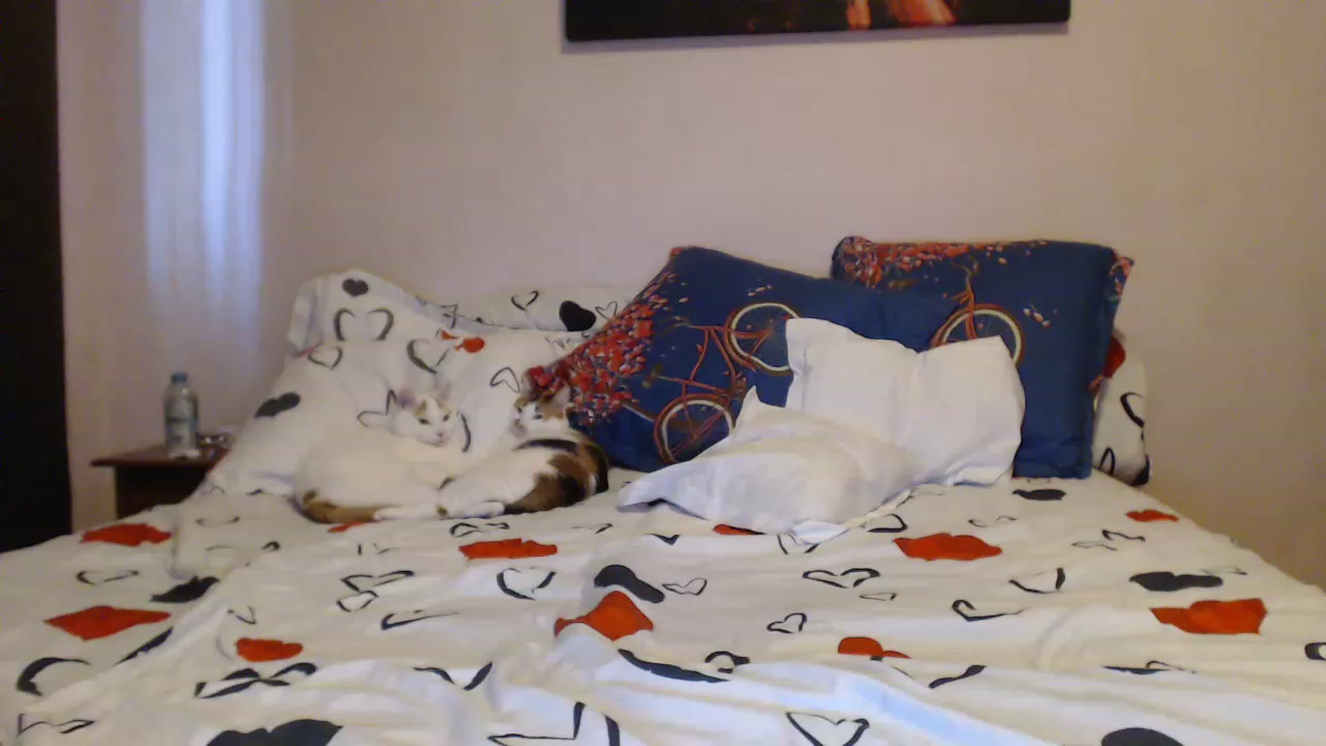 Gallery image thumbnail from Aahh_Emilia's myfreecams stream on, 05/10/2023, 16:42 image 9 of 20