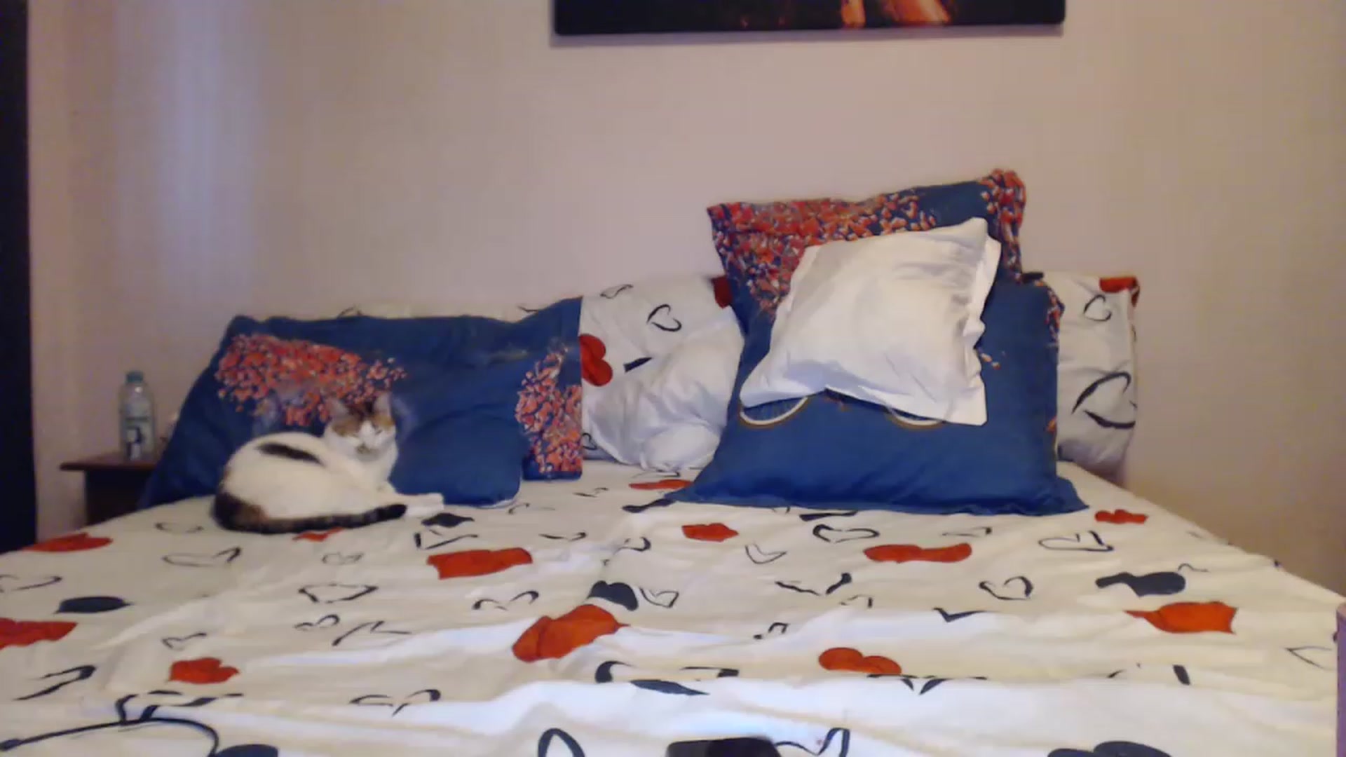 Gallery image thumbnail from Aahh_Emilia's myfreecams stream on, 05/13/2023, 17:29 image 12 of 20