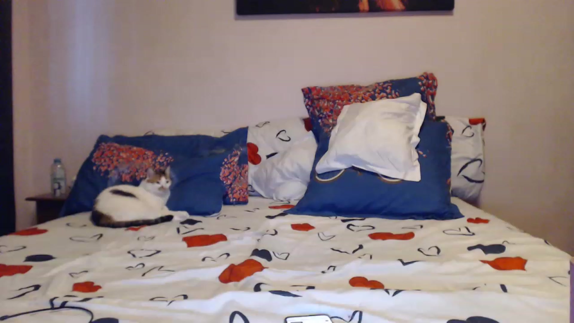 Gallery image thumbnail from Aahh_Emilia's myfreecams stream on, 05/13/2023, 17:29 image 10 of 20