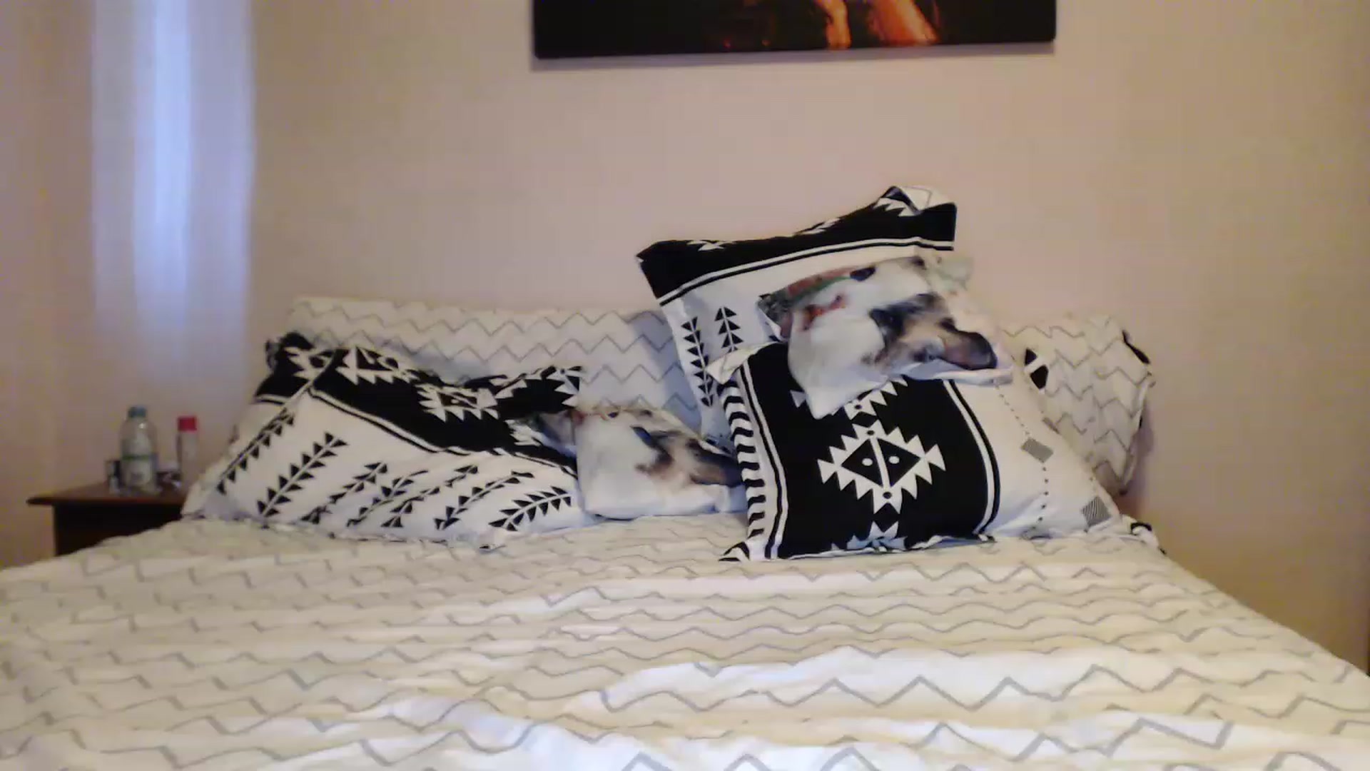 Gallery image thumbnail from Aahh_Emilia's myfreecams stream on, 05/14/2023, 16:57 image 2 of 20
