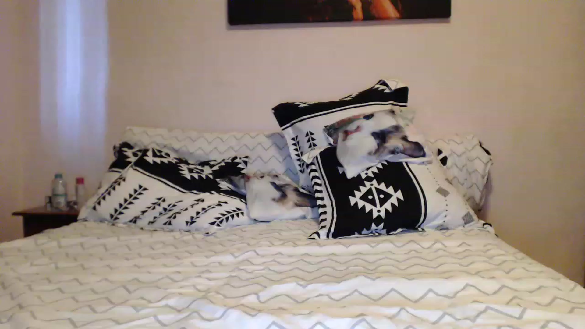 Gallery image thumbnail from Aahh_Emilia's myfreecams stream on, 05/14/2023, 16:57 image 8 of 20
