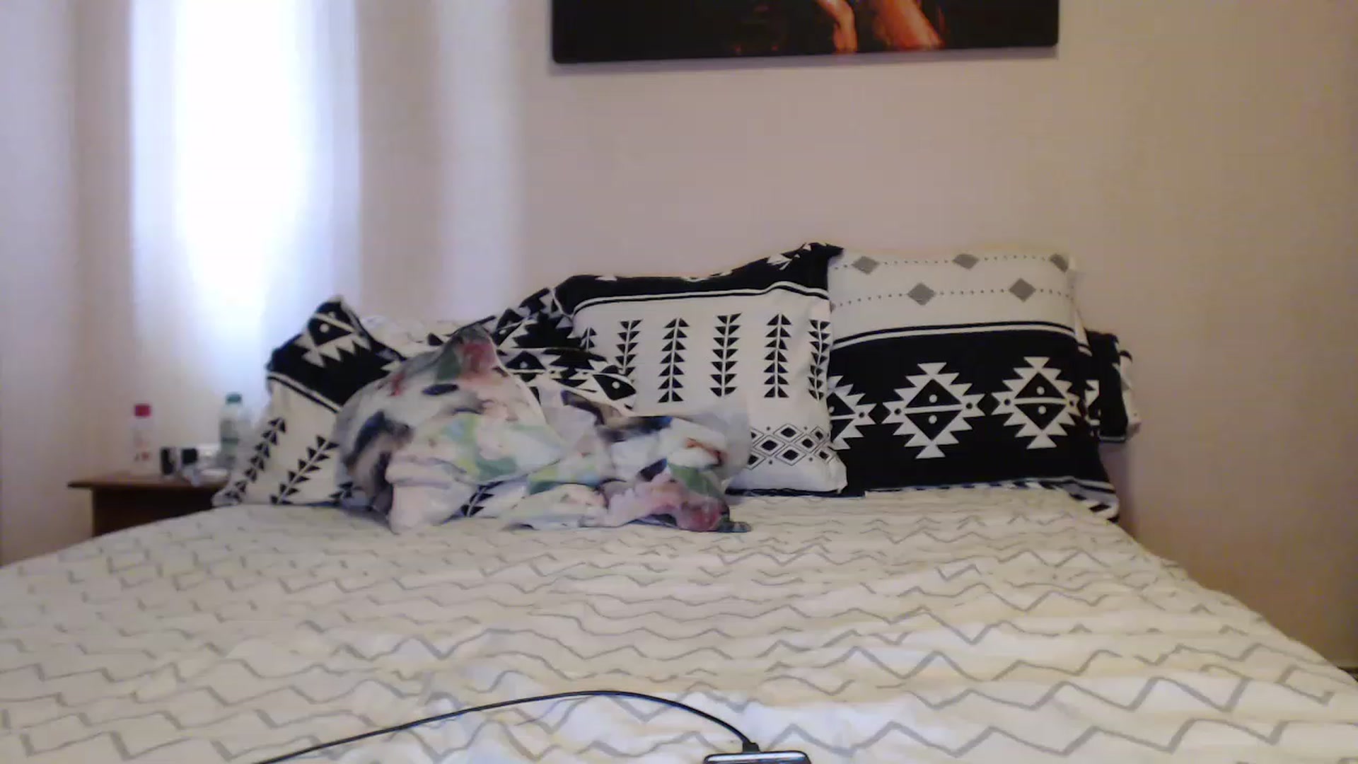 Gallery image thumbnail from Aahh_Emilia's myfreecams stream on, 05/18/2023, 15:05 image 16 of 20