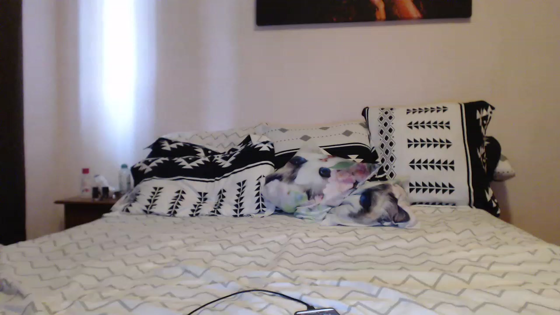 Gallery image thumbnail from Aahh_Emilia's myfreecams stream on, 05/19/2023, 14:34 image 14 of 20