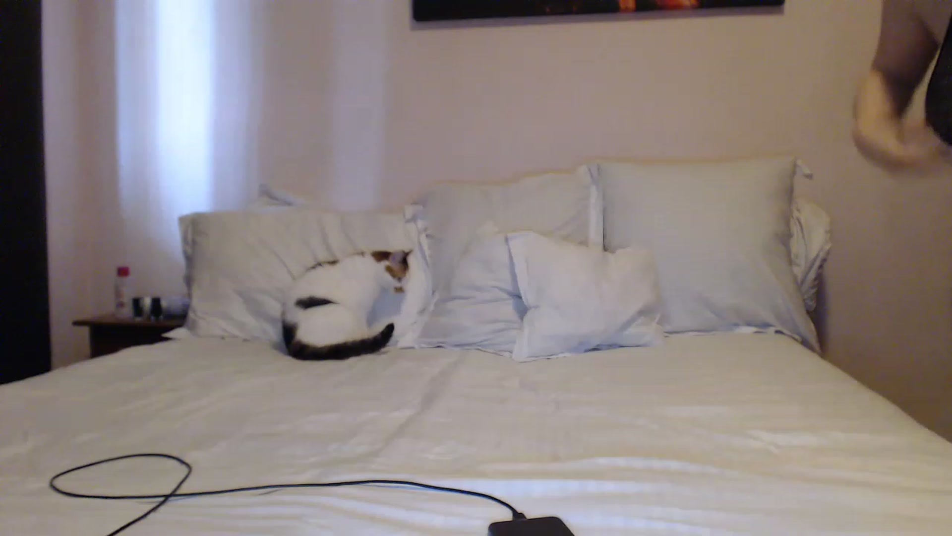 Gallery image thumbnail from Aahh_Emilia's myfreecams stream on, 05/20/2023, 14:40 image 19 of 20