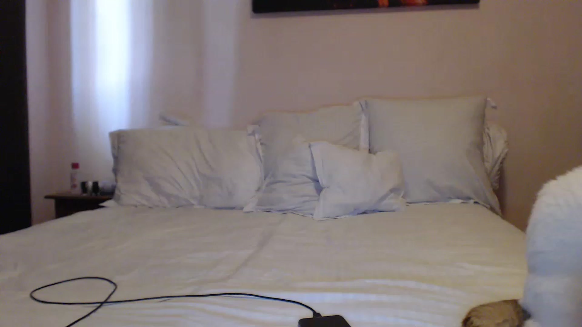 Gallery image thumbnail from Aahh_Emilia's myfreecams stream on, 05/20/2023, 14:40 image 17 of 20