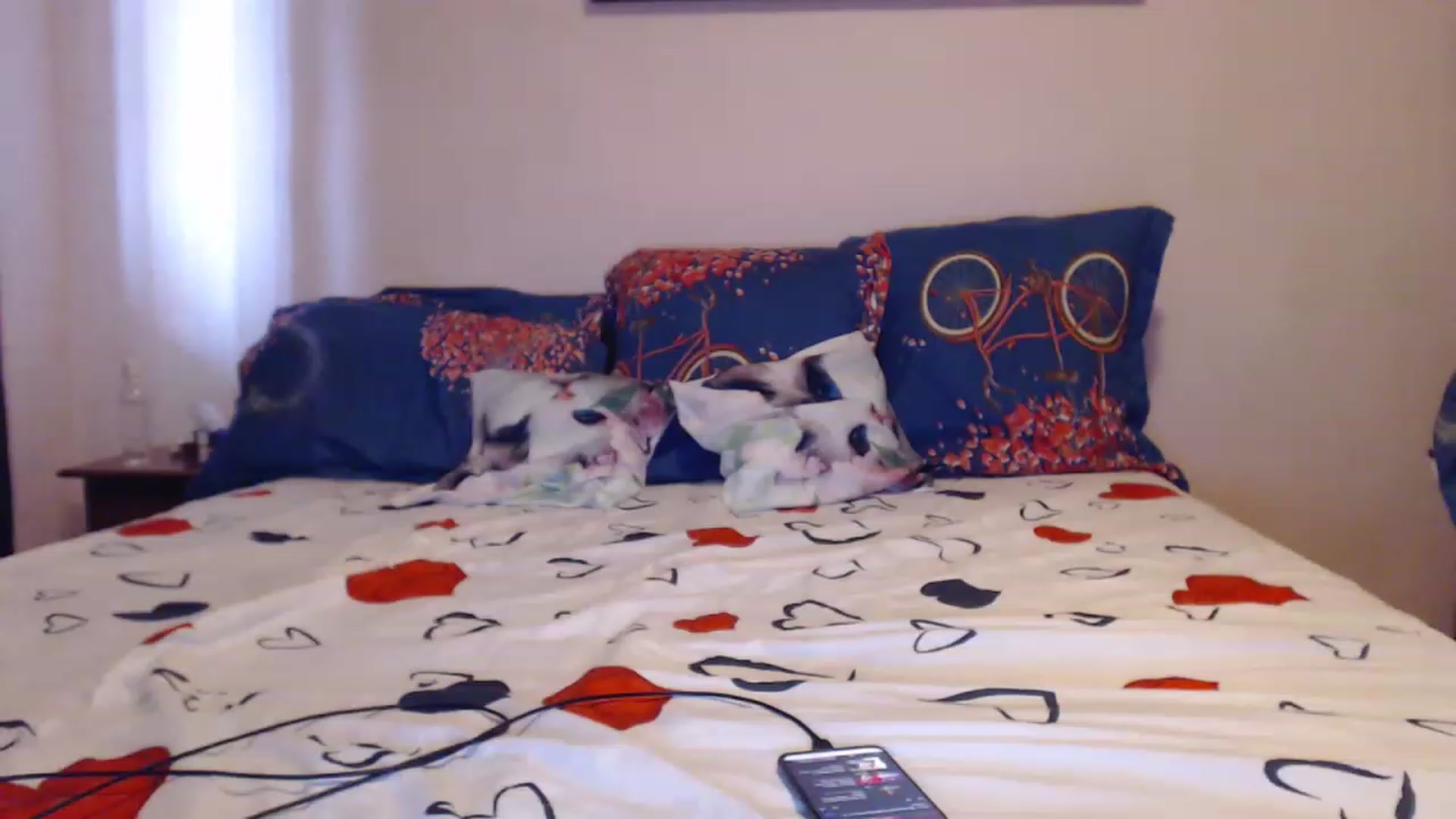 Gallery image thumbnail from Aahh_Emilia's myfreecams stream on, 05/28/2023, 15:28 image 12 of 20