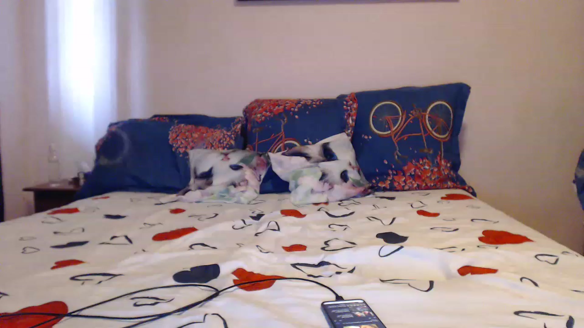 Gallery image thumbnail from Aahh_Emilia's myfreecams stream on, 05/28/2023, 15:28 image 1 of 20