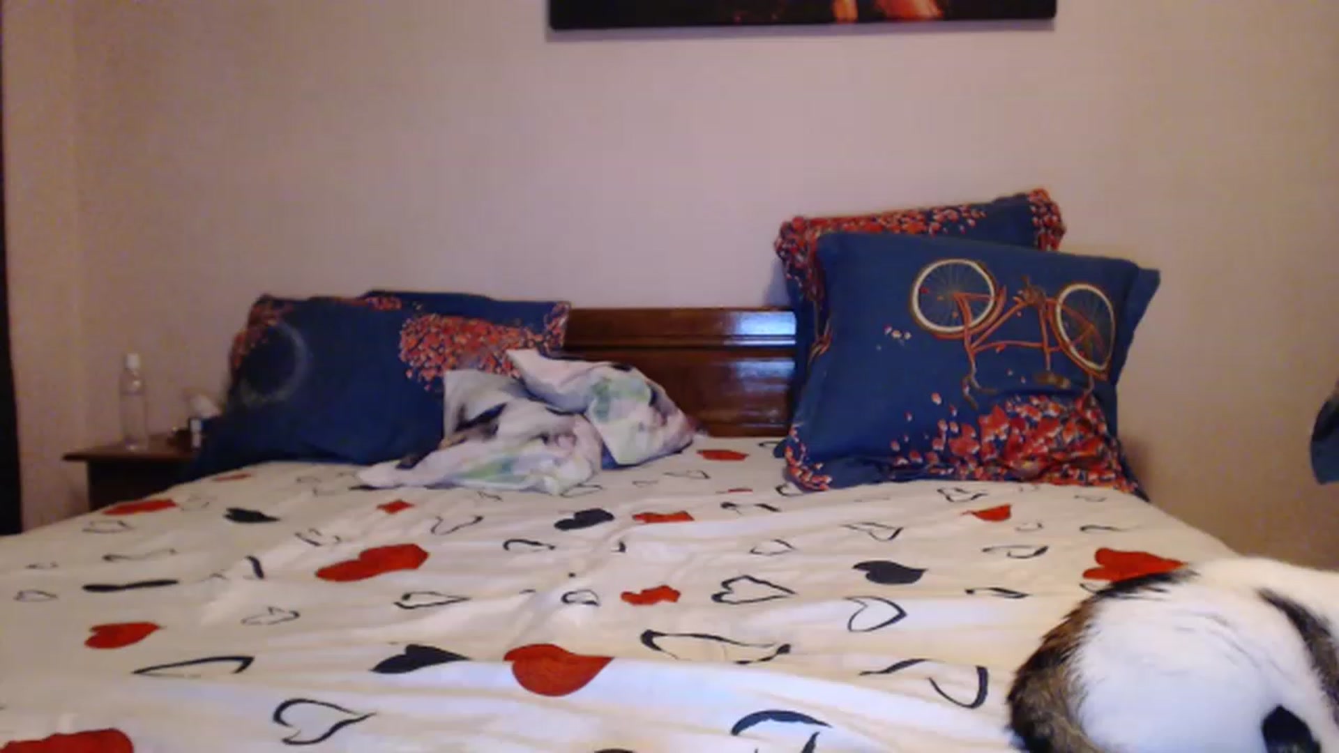 Gallery image thumbnail from Aahh_Emilia's myfreecams stream on, 05/28/2023, 18:23 image 17 of 20