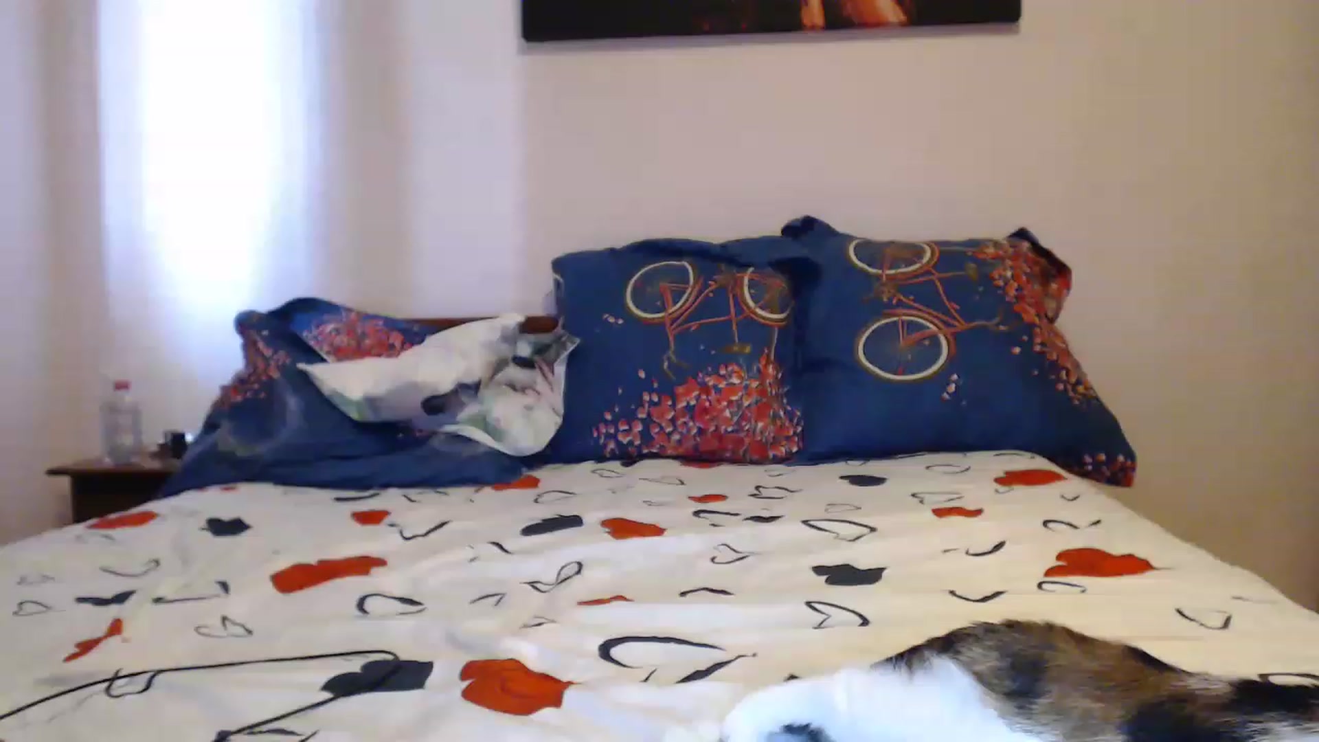 Gallery image thumbnail from Aahh_Emilia's myfreecams stream on, 05/29/2023, 16:15 image 18 of 20