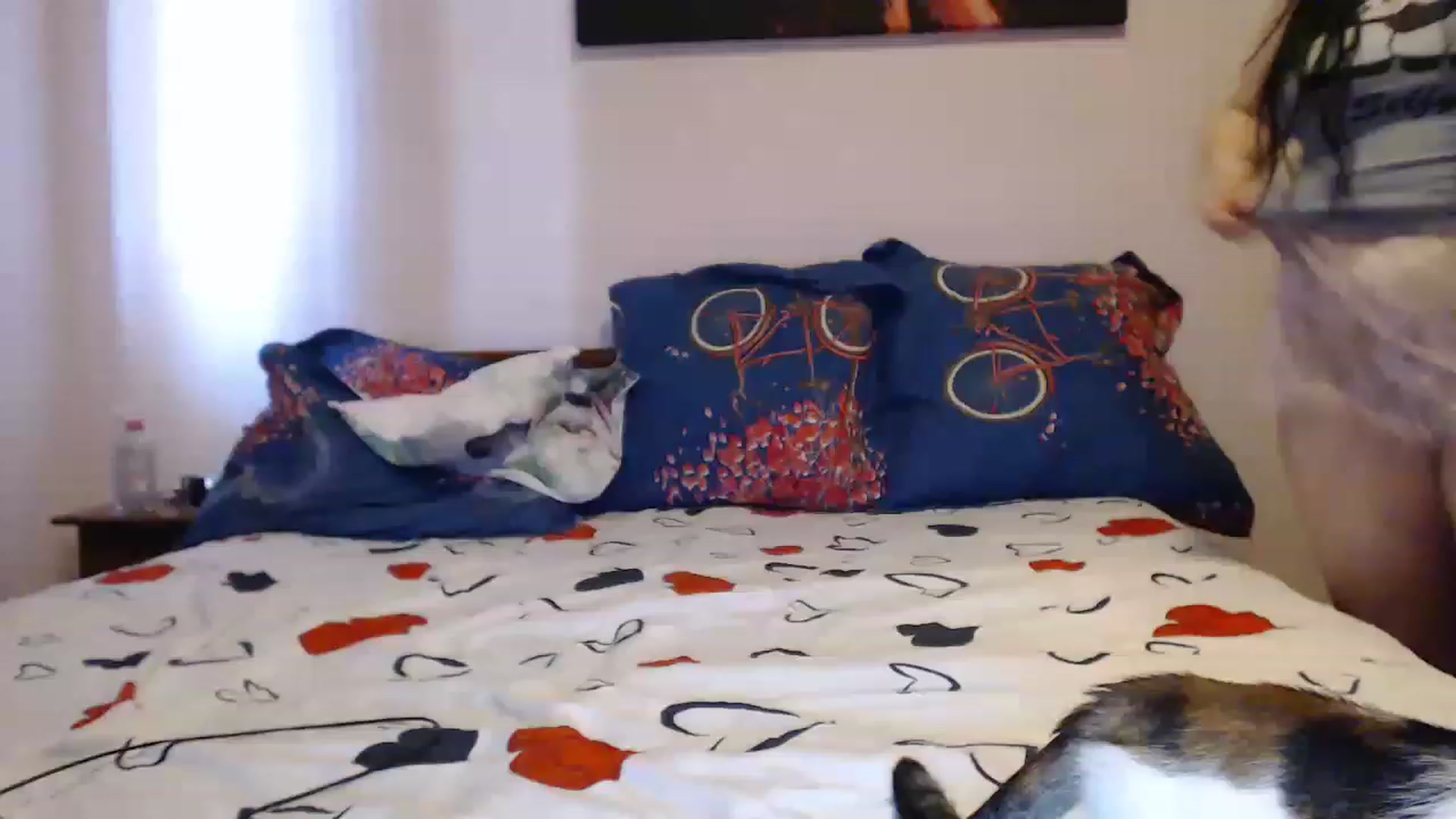 Gallery image thumbnail from Aahh_Emilia's myfreecams stream on, 05/29/2023, 16:15 image 19 of 20