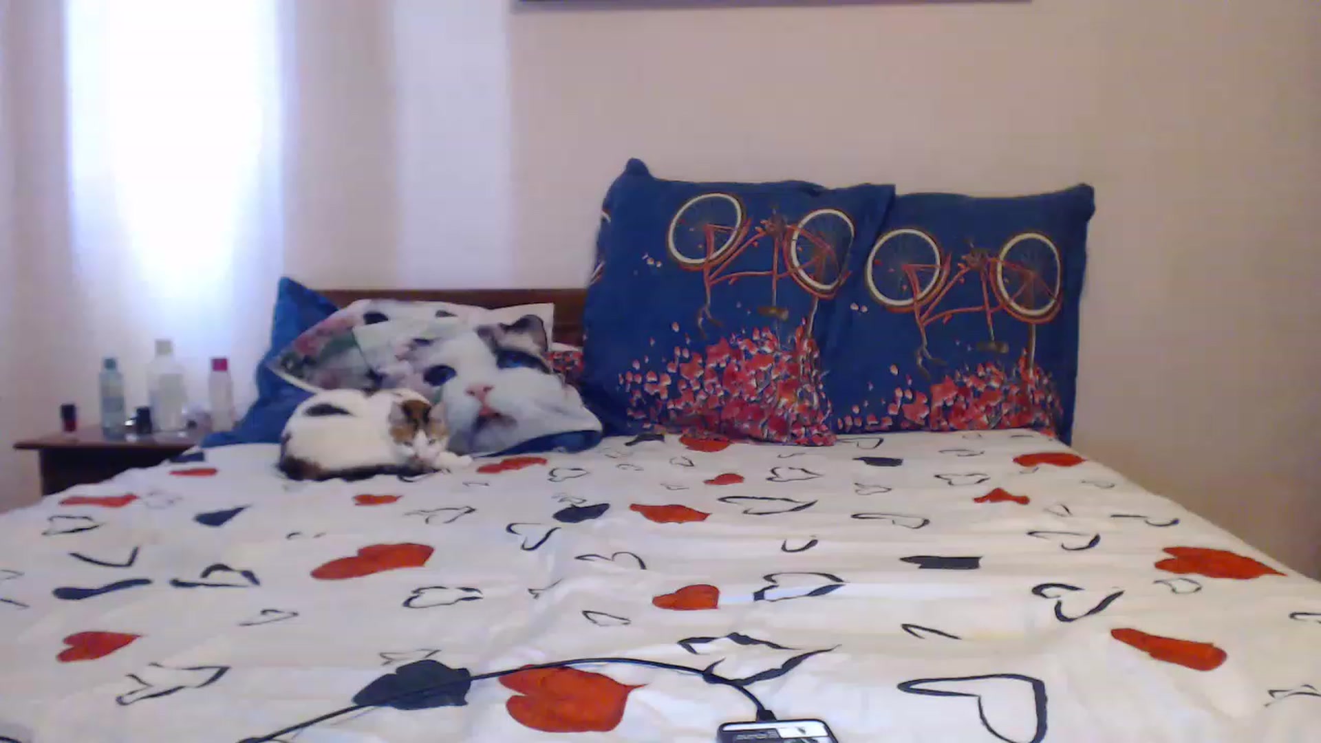 Gallery image thumbnail from Aahh_Emilia's myfreecams stream on, 06/01/2023, 15:00 image 4 of 20