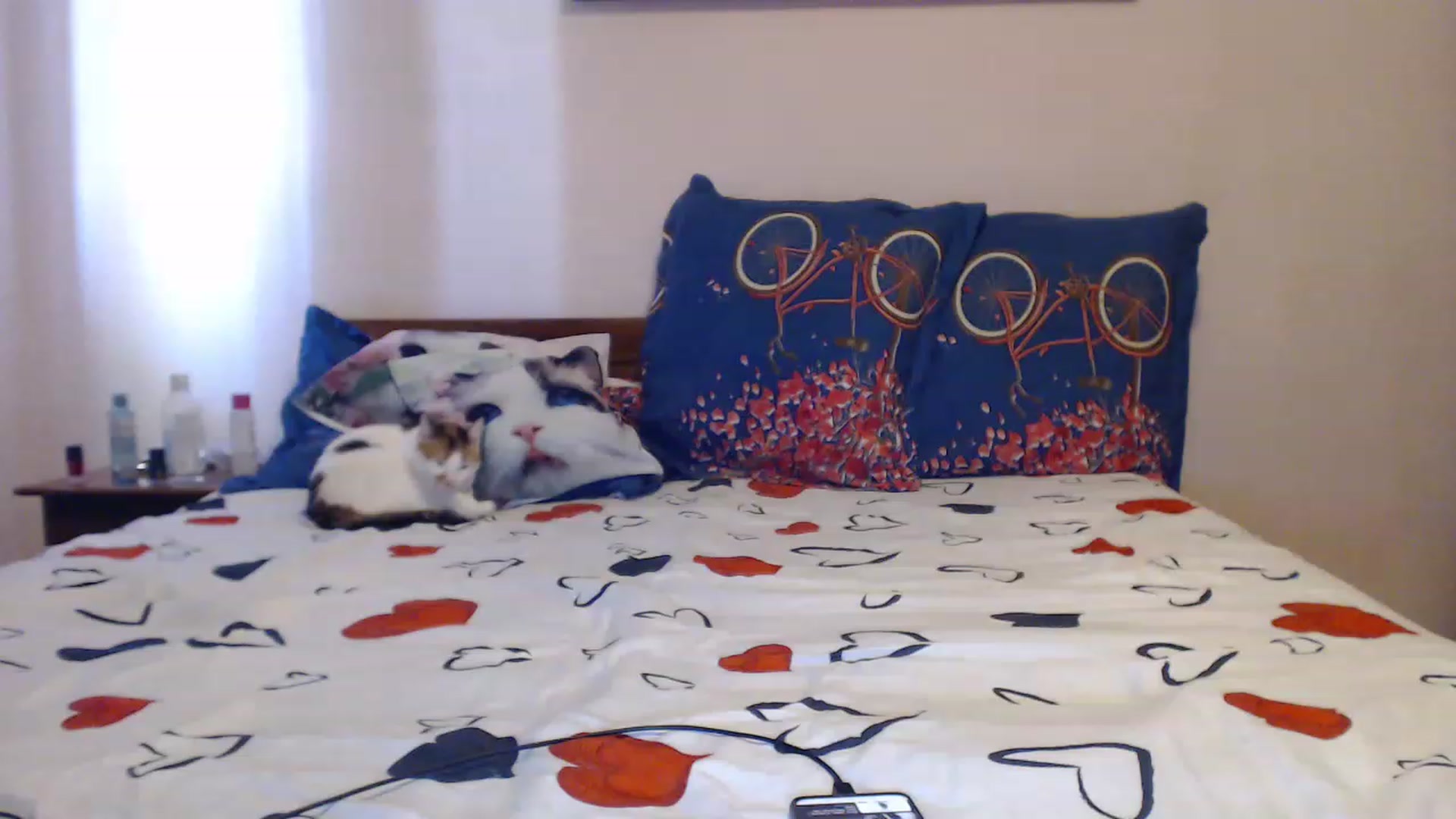 Gallery image thumbnail from Aahh_Emilia's myfreecams stream on, 06/01/2023, 15:00 image 2 of 20