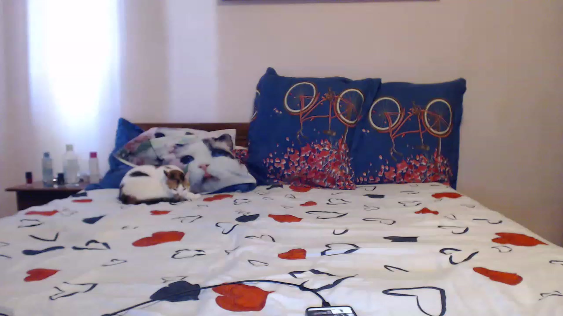 Gallery image thumbnail from Aahh_Emilia's myfreecams stream on, 06/01/2023, 15:00 image 3 of 20