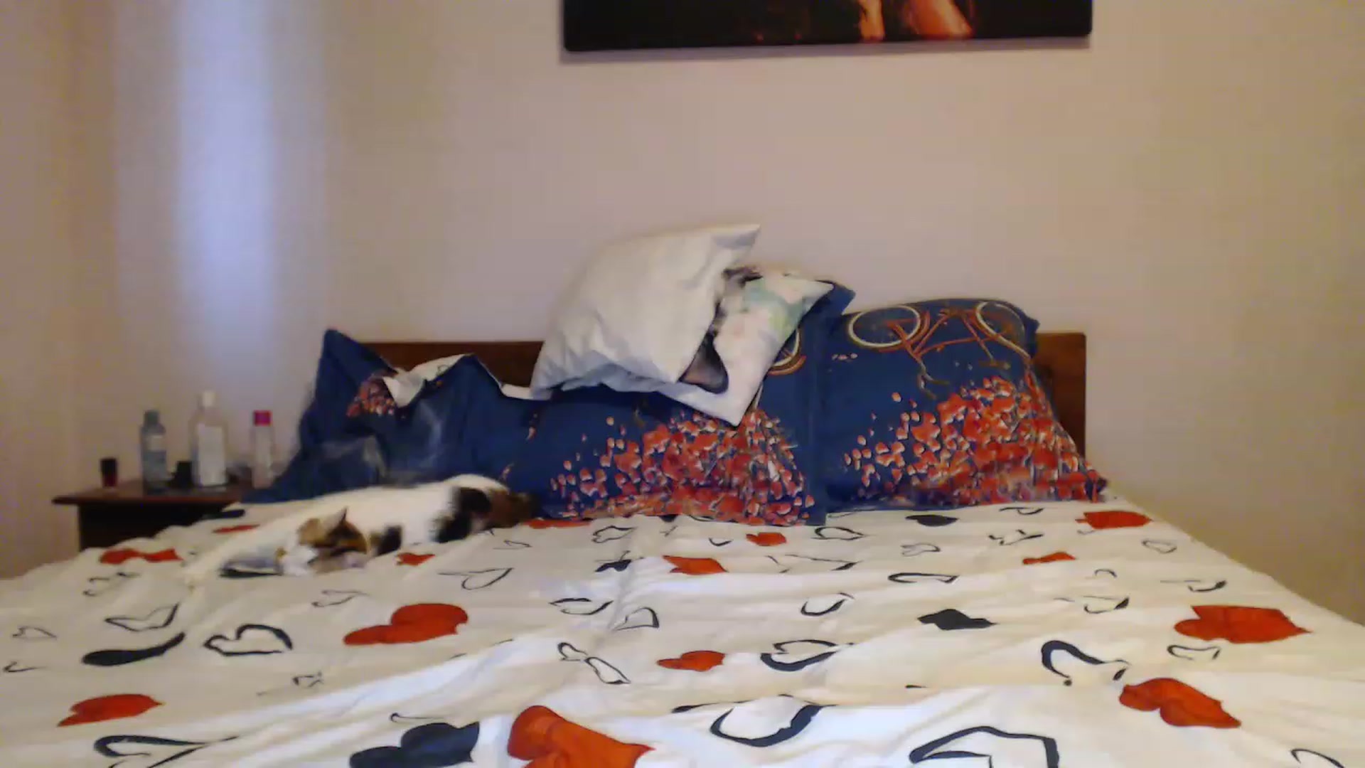 Gallery image thumbnail from Aahh_Emilia's myfreecams stream on, 06/01/2023, 18:11 image 14 of 20
