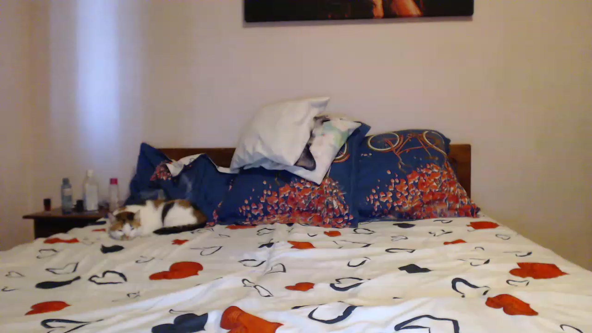 Gallery image thumbnail from Aahh_Emilia's myfreecams stream on, 06/01/2023, 18:11 image 12 of 20