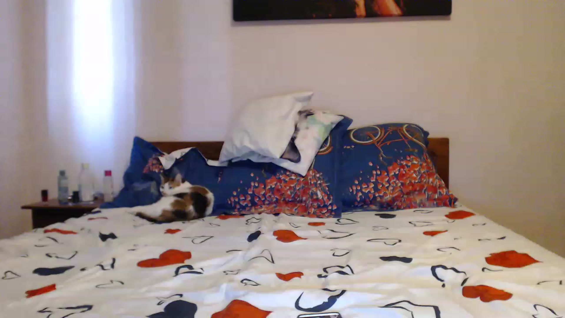 Gallery image thumbnail from Aahh_Emilia's myfreecams stream on, 06/01/2023, 18:11 image 1 of 20