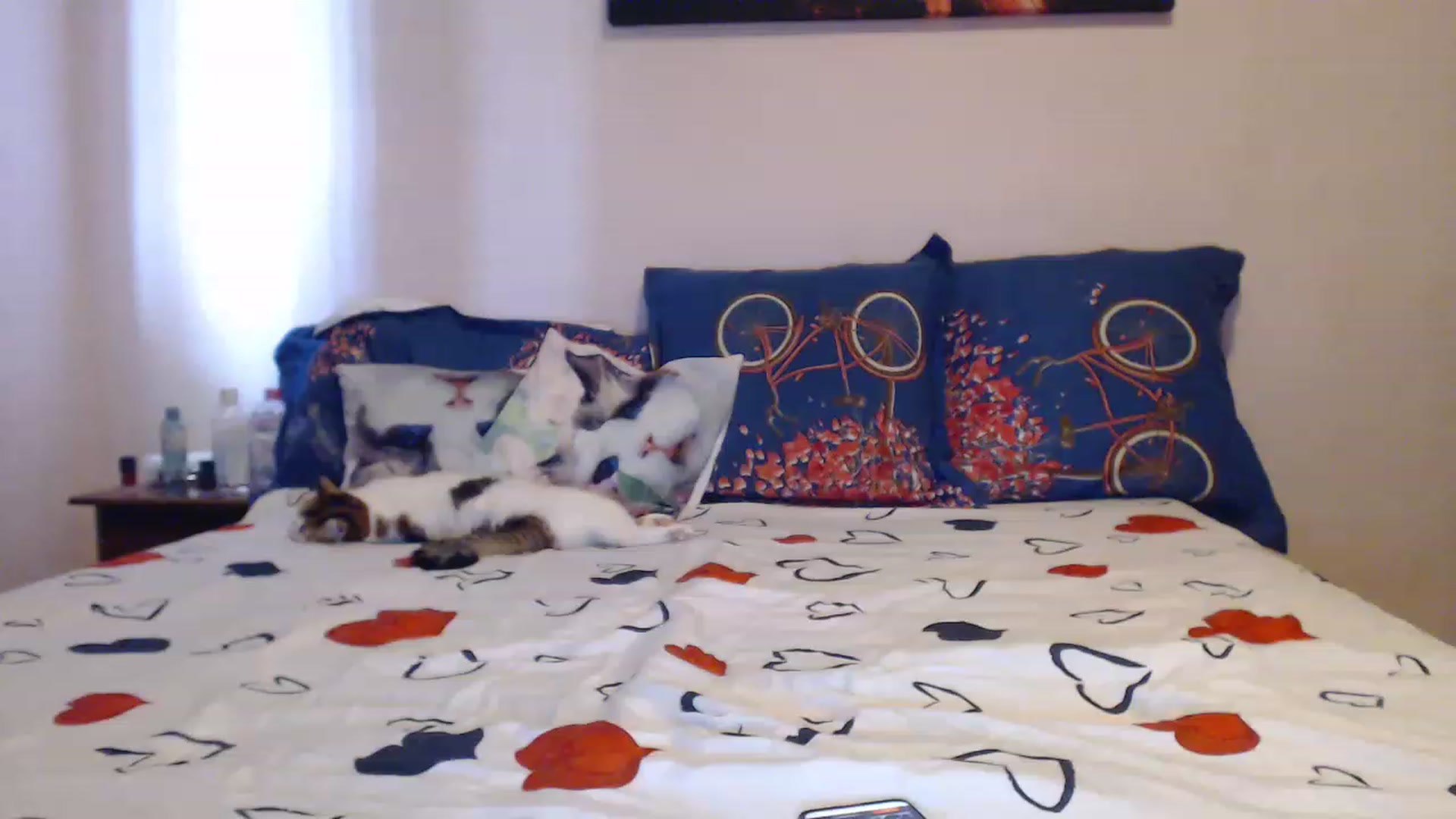 Gallery image thumbnail from Aahh_Emilia's myfreecams stream on, 06/02/2023, 14:49 image 8 of 20