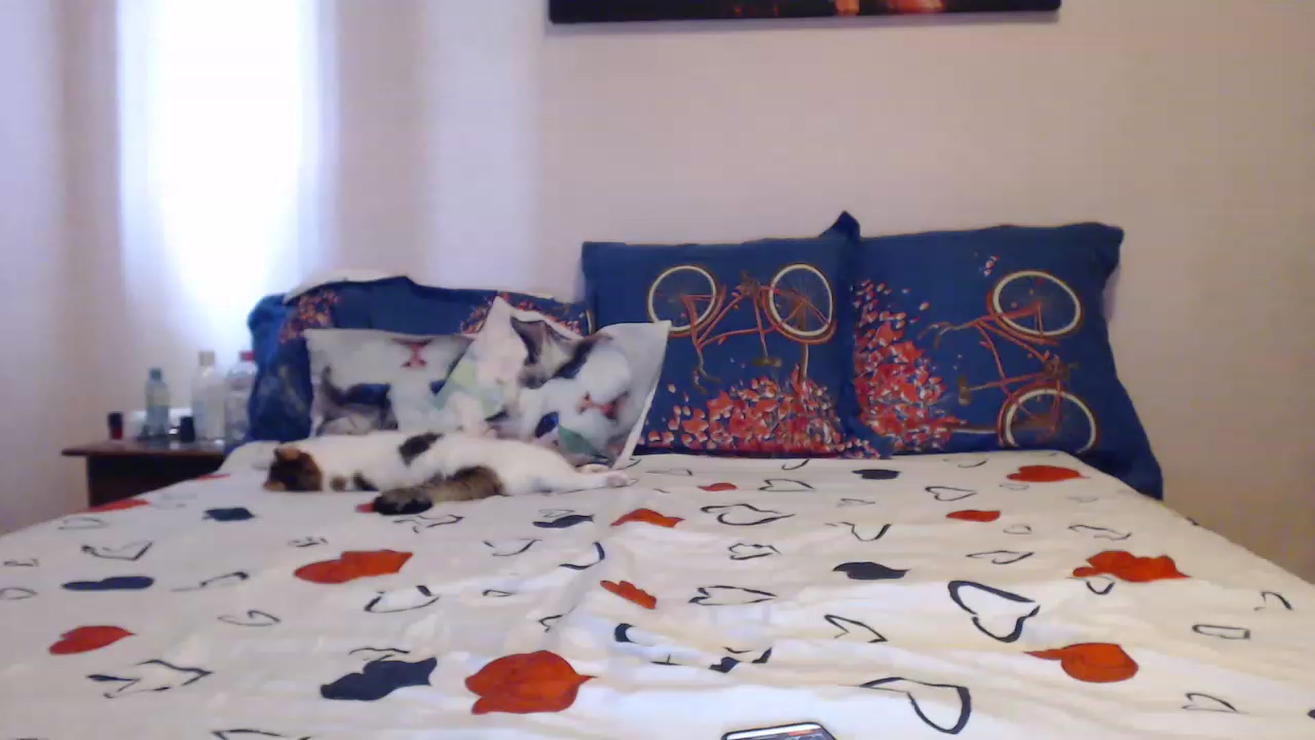 Gallery image thumbnail from Aahh_Emilia's myfreecams stream on, 06/02/2023, 14:49 image 10 of 20