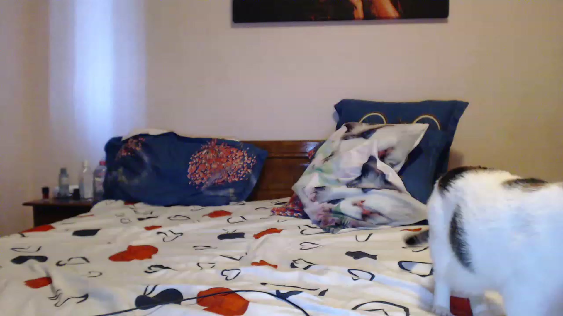 Gallery image thumbnail from Aahh_Emilia's myfreecams stream on, 06/02/2023, 17:08 image 16 of 20