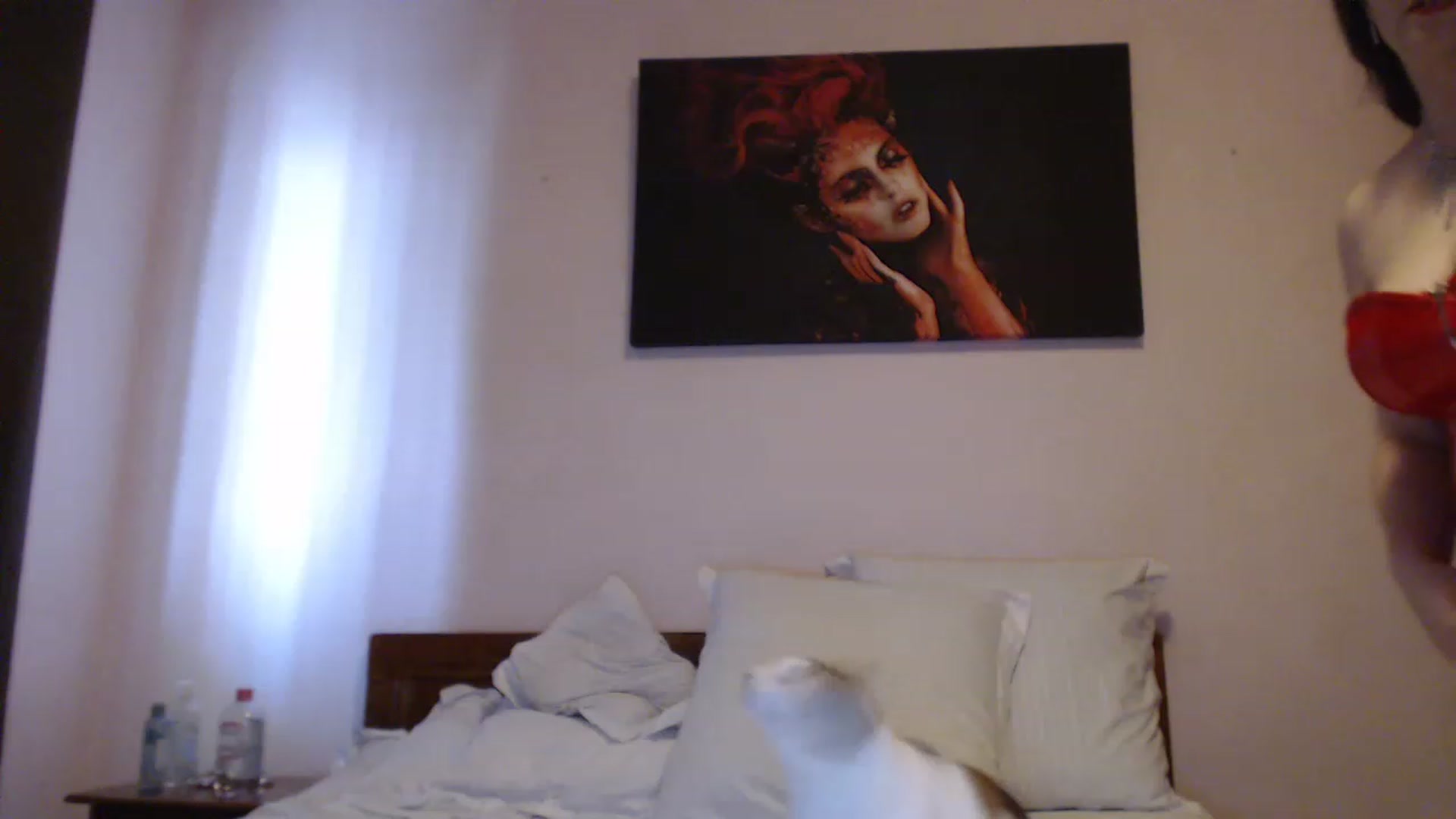Gallery image thumbnail from Aahh_Emilia's myfreecams stream on, 06/11/2023, 15:29 image 19 of 20