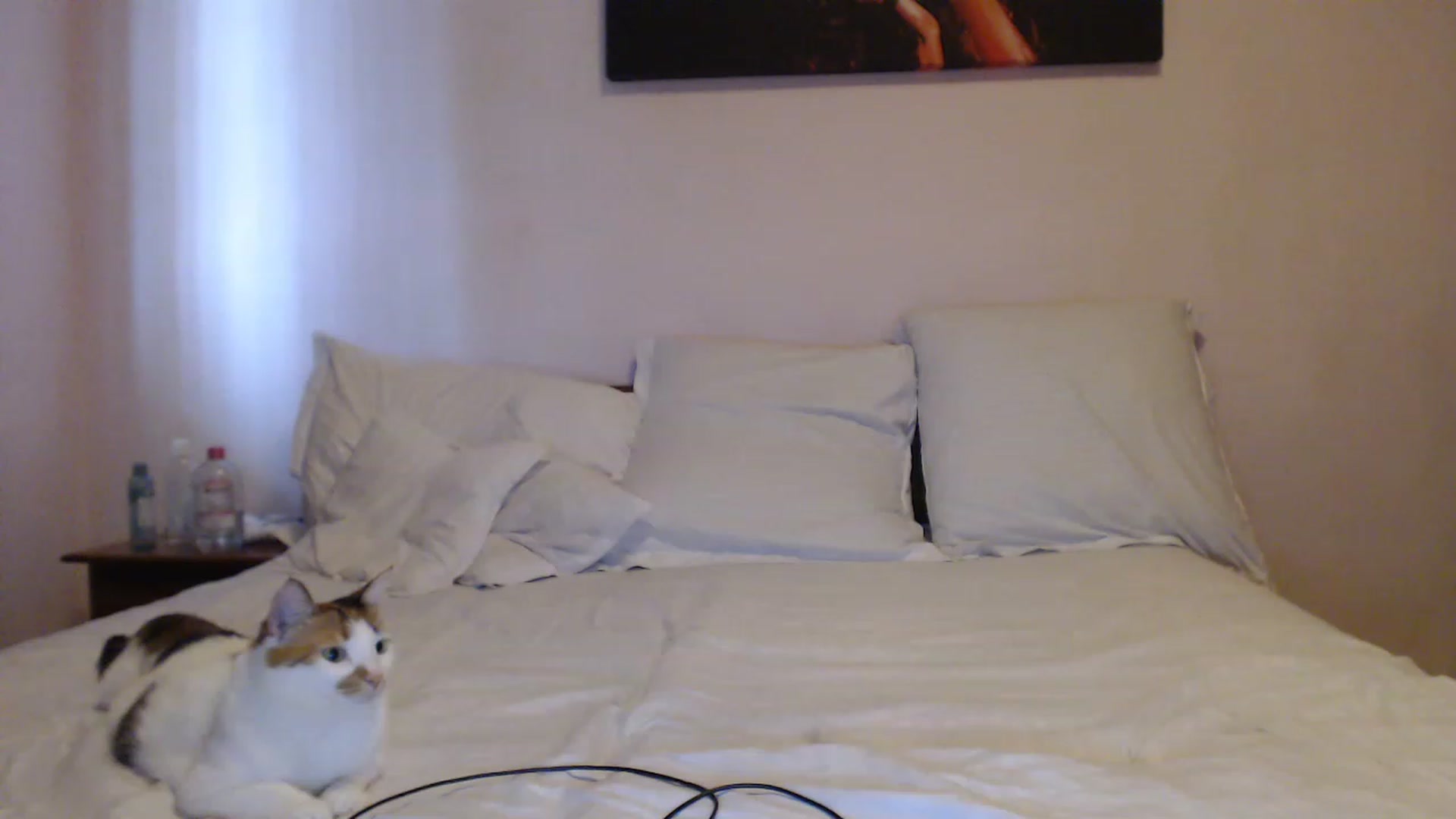 Gallery image thumbnail from Aahh_Emilia's myfreecams stream on, 06/13/2023, 15:11 image 10 of 20