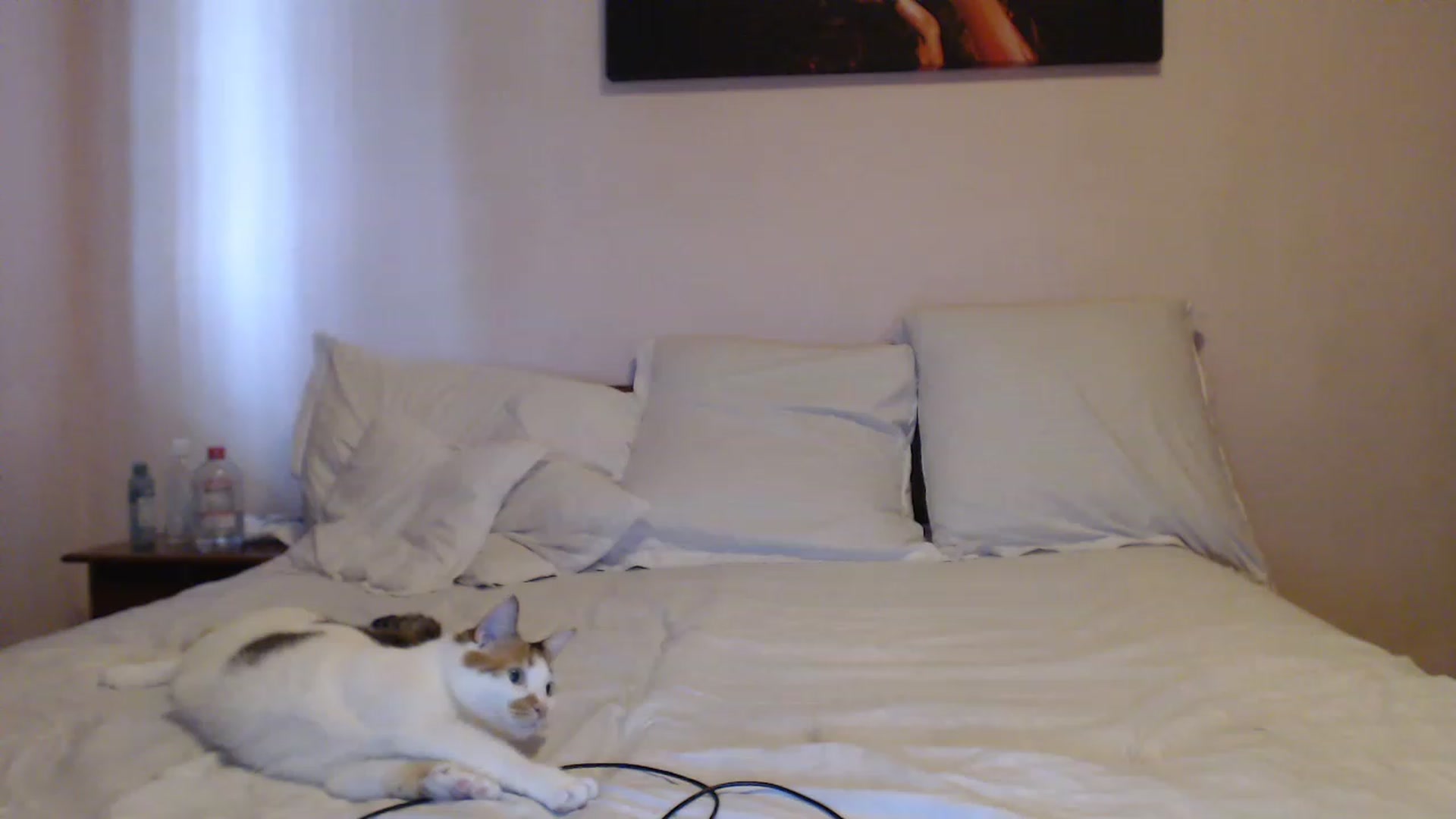 Gallery image thumbnail from Aahh_Emilia's myfreecams stream on, 06/13/2023, 15:11 image 15 of 20