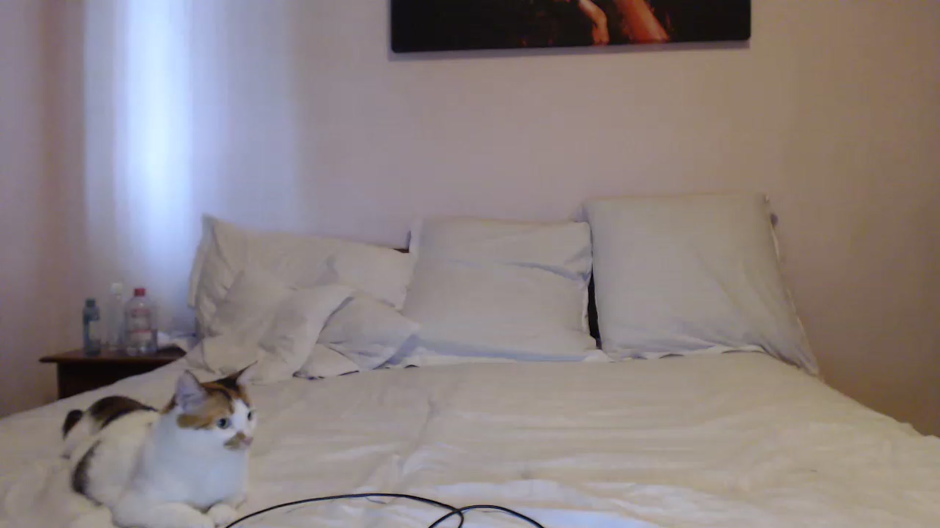 Gallery image thumbnail from Aahh_Emilia's myfreecams stream on, 06/13/2023, 15:11 image 11 of 20