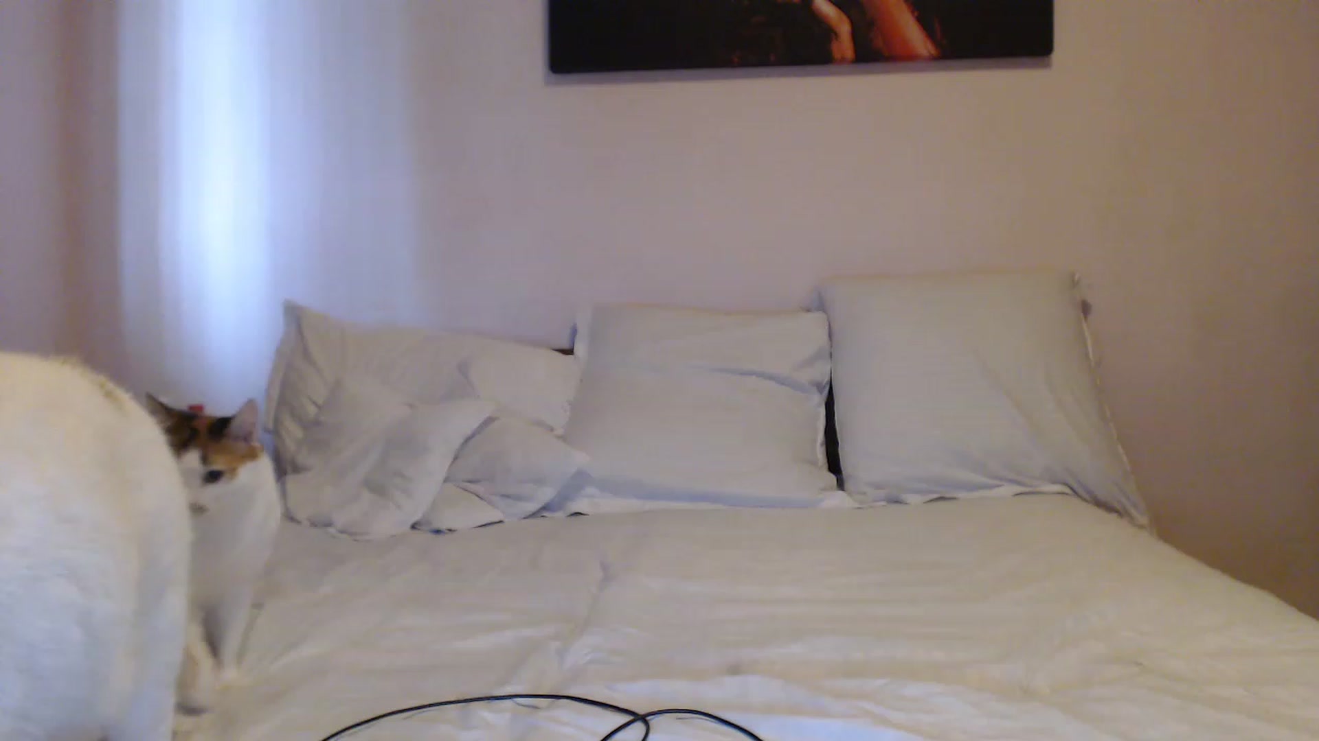 Gallery image thumbnail from Aahh_Emilia's myfreecams stream on, 06/13/2023, 15:11 image 9 of 20