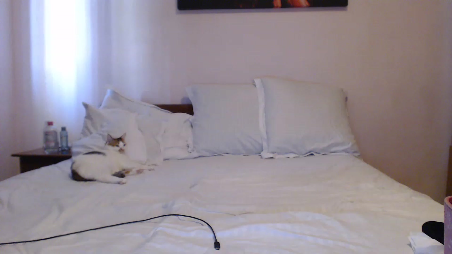 Gallery image thumbnail from Aahh_Emilia's myfreecams stream on, 06/14/2023, 14:45 image 12 of 20