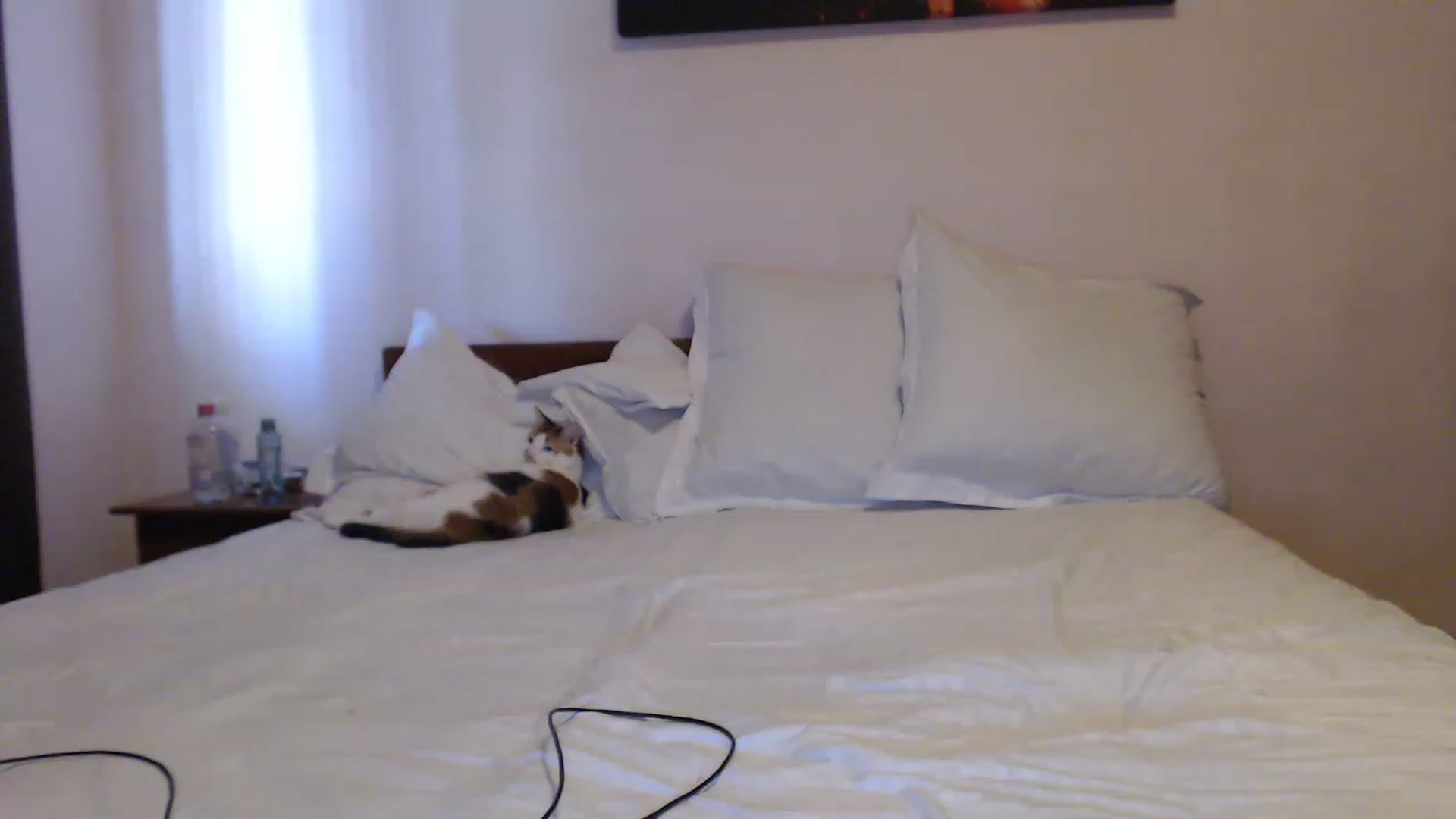 Gallery image thumbnail from Aahh_Emilia's myfreecams stream on, 06/15/2023, 15:26 image 10 of 20