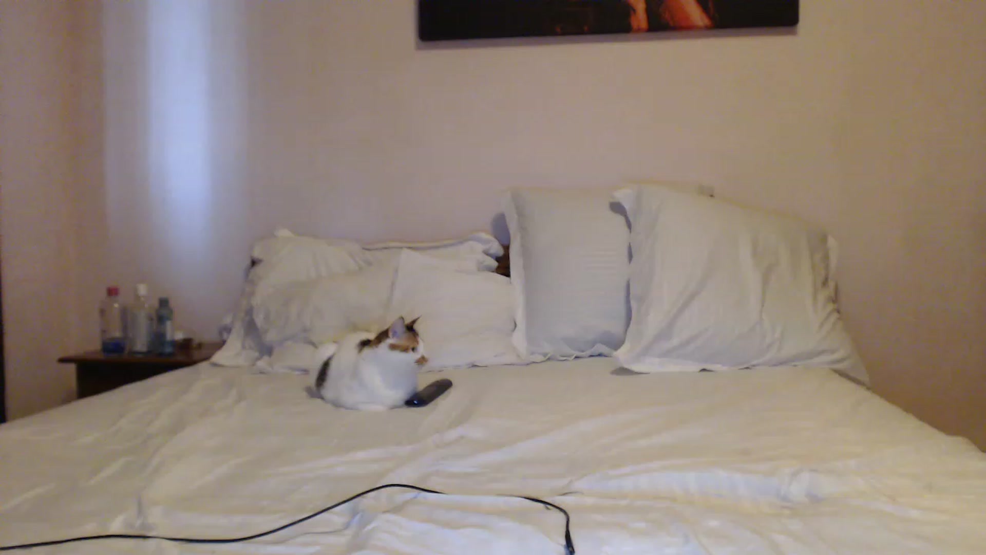 Gallery image thumbnail from Aahh_Emilia's myfreecams stream on, 06/16/2023, 15:11 image 10 of 20