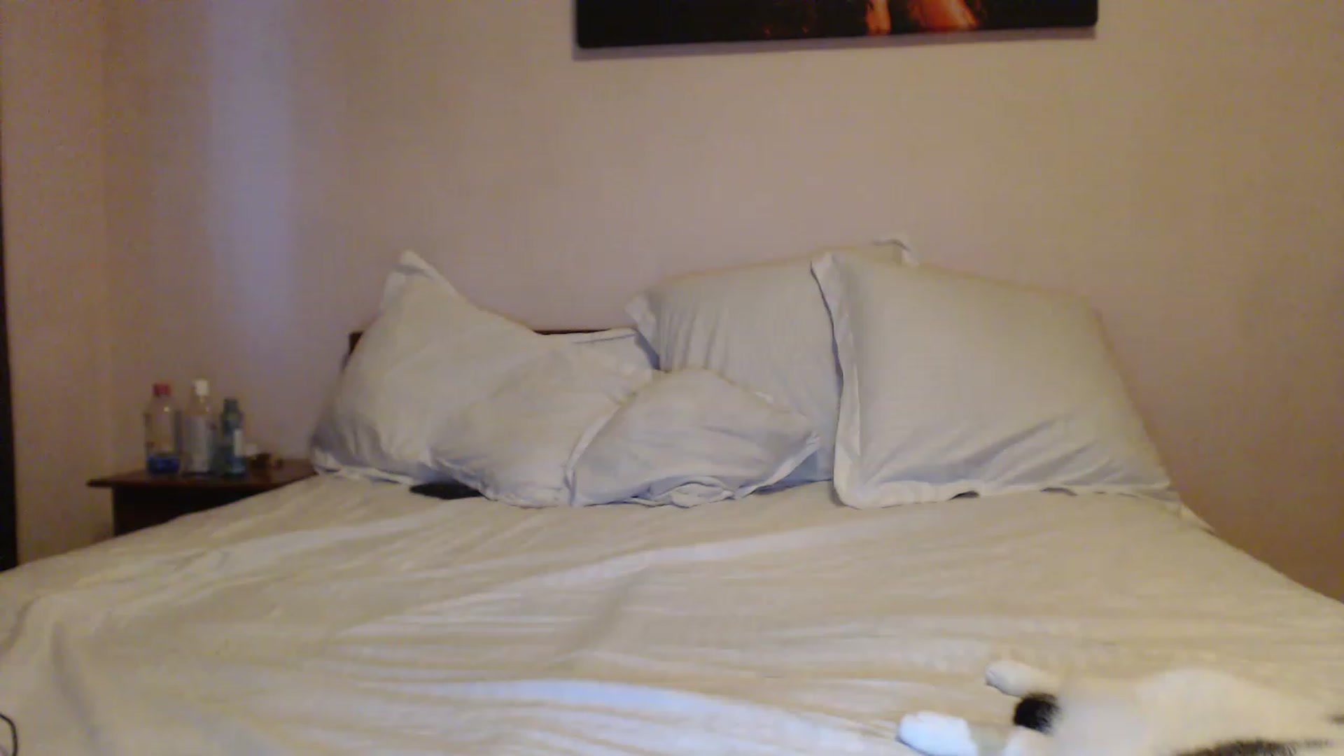 Gallery image thumbnail from Aahh_Emilia's myfreecams stream on, 06/16/2023, 17:56 image 16 of 20