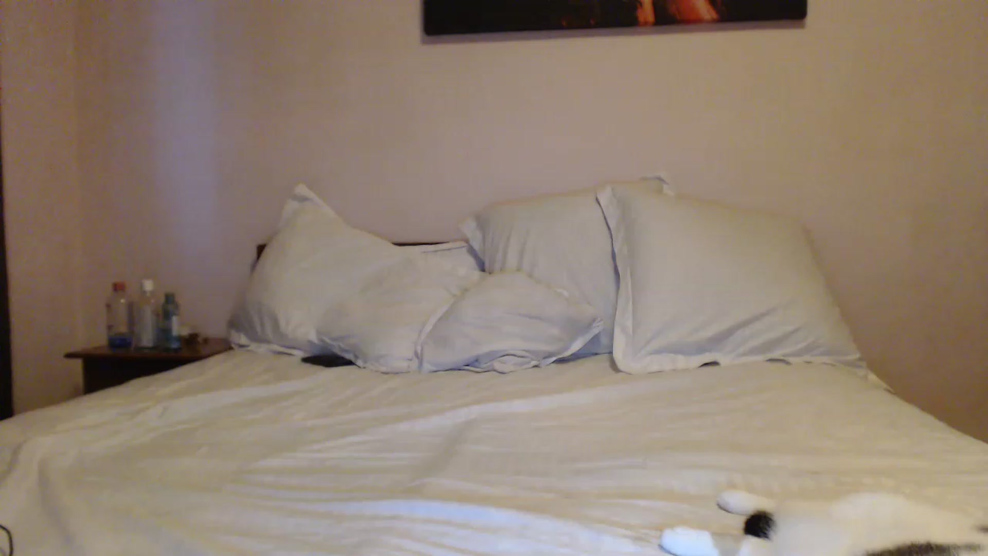 Gallery image thumbnail from Aahh_Emilia's myfreecams stream on, 06/16/2023, 17:56 image 18 of 20