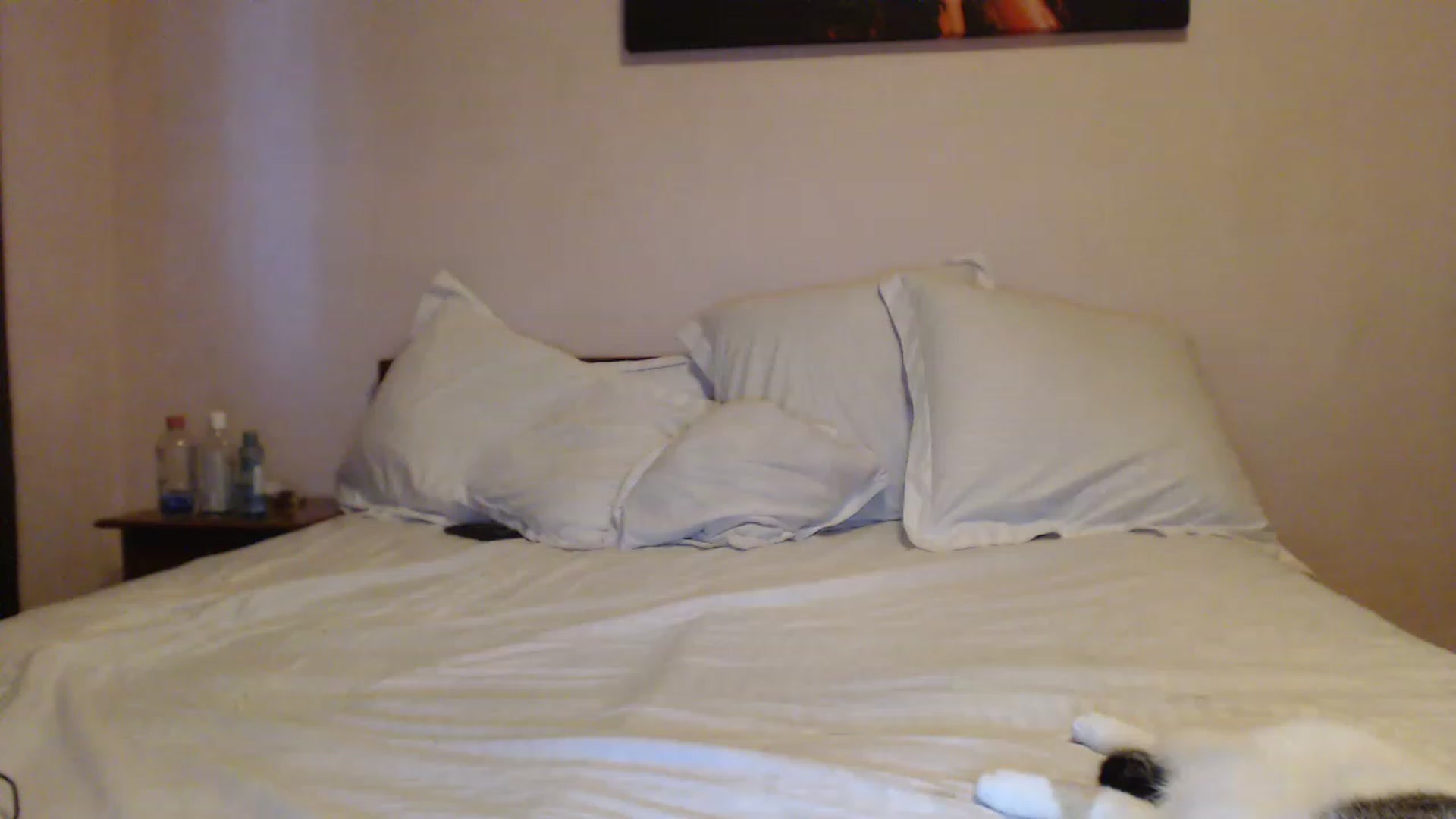 Gallery image thumbnail from Aahh_Emilia's myfreecams stream on, 06/16/2023, 17:56 image 15 of 20