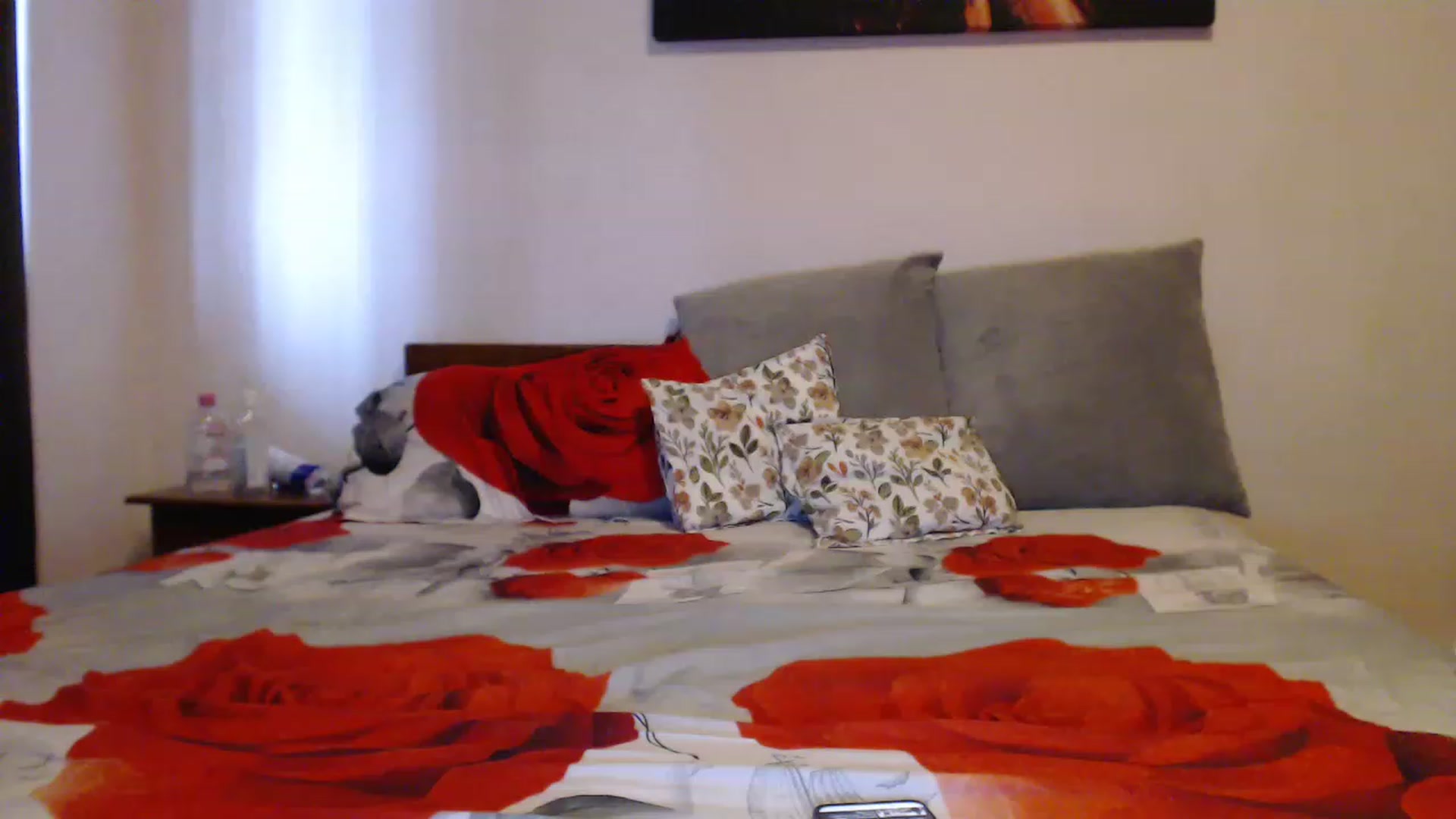 Gallery image thumbnail from Aahh_Emilia's myfreecams stream on, 06/17/2023, 17:12 image 17 of 20