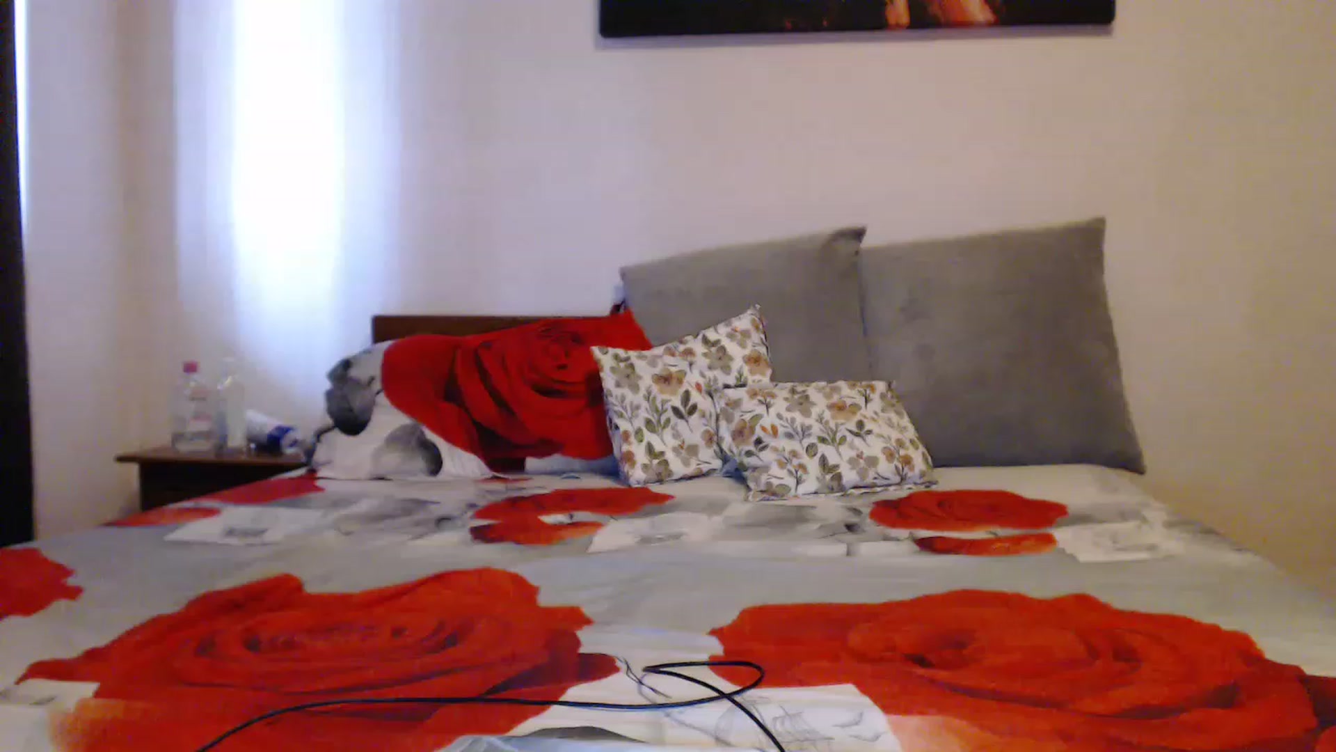 Gallery image thumbnail from Aahh_Emilia's myfreecams stream on, 06/17/2023, 17:12 image 6 of 20