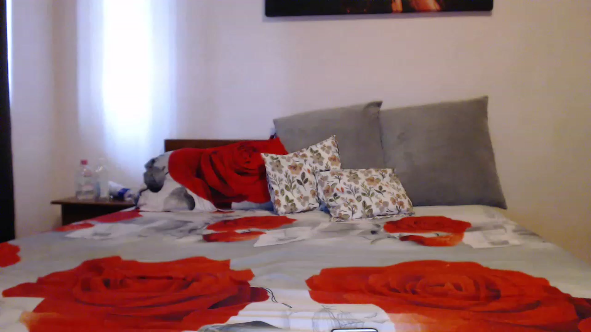 Gallery image thumbnail from Aahh_Emilia's myfreecams stream on, 06/17/2023, 17:12 image 12 of 20