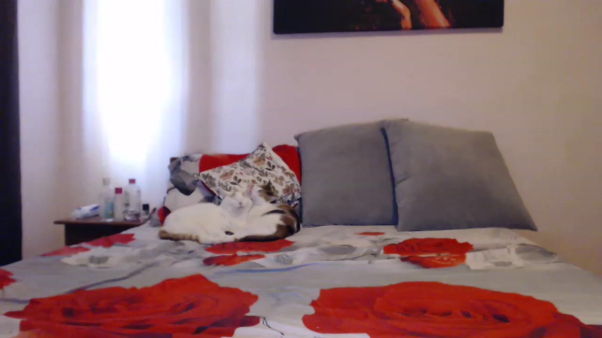 Gallery image thumbnail from Aahh_Emilia's myfreecams stream on, 06/18/2023, 15:25 image 9 of 20
