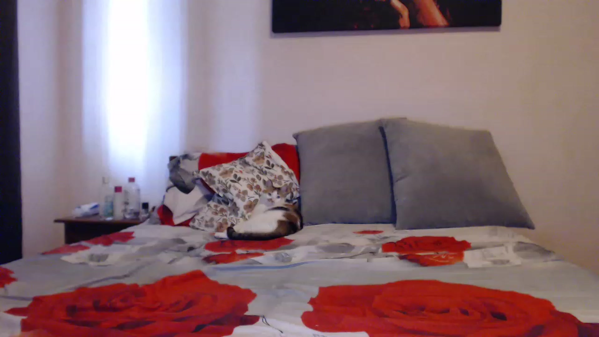 Gallery image thumbnail from Aahh_Emilia's myfreecams stream on, 06/18/2023, 15:25 image 10 of 20