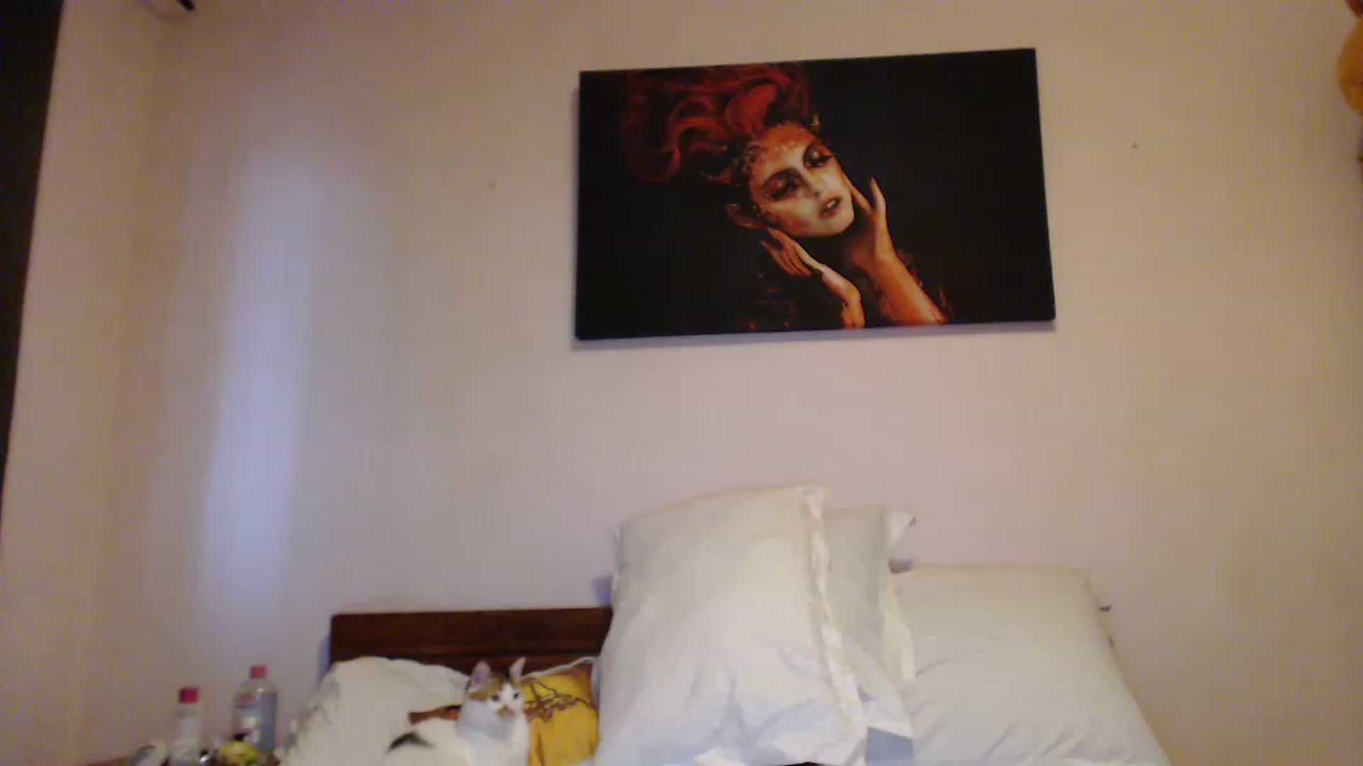 Gallery image thumbnail from Aahh_Emilia's myfreecams stream on, 06/26/2023, 18:20 image 13 of 20