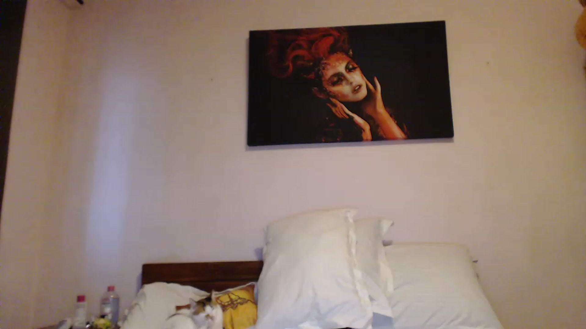 Gallery image thumbnail from Aahh_Emilia's myfreecams stream on, 06/26/2023, 18:20 image 14 of 20