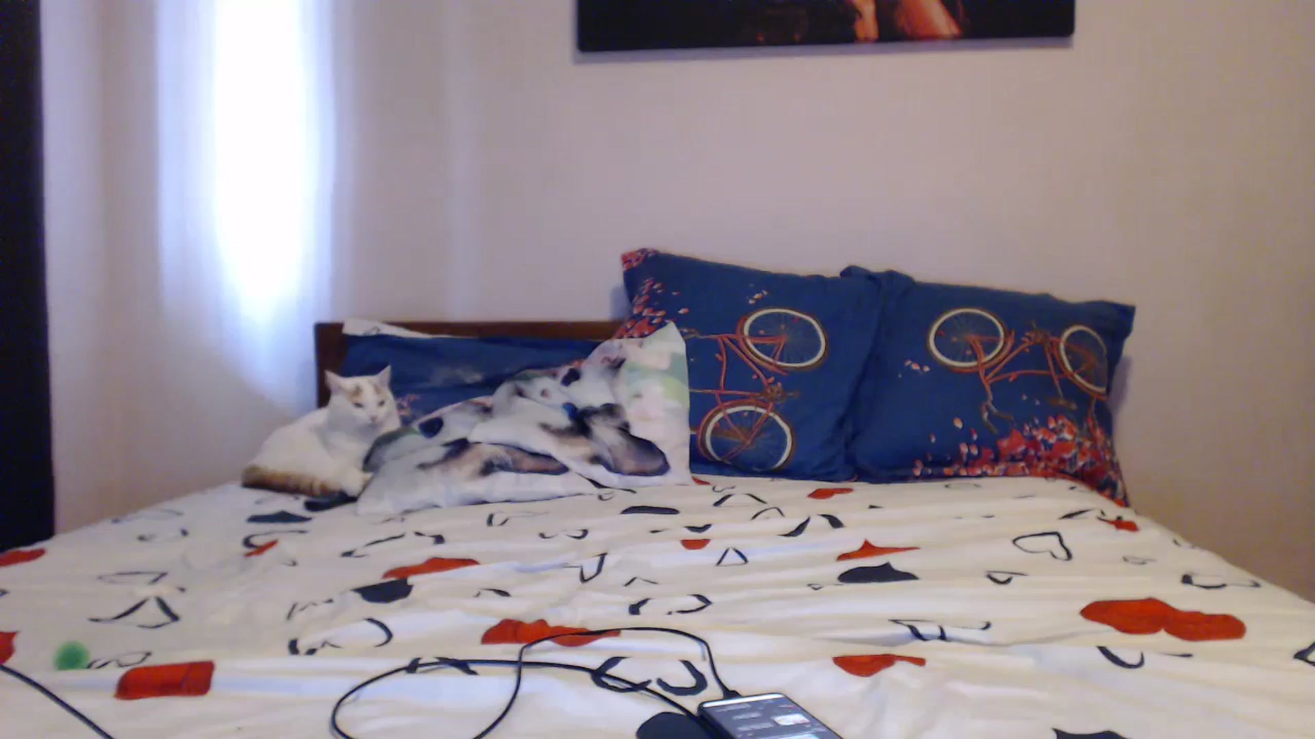 Gallery image thumbnail from Aahh_Emilia's myfreecams stream on, 07/05/2023, 15:05 image 4 of 20