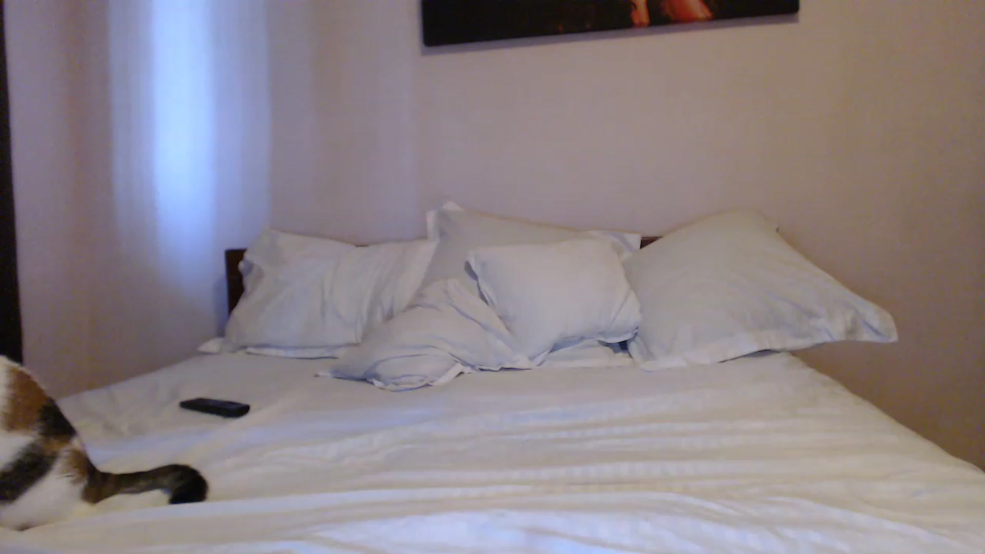 Gallery image thumbnail from Aahh_Emilia's myfreecams stream on, 07/17/2023, 16:53 image 10 of 20