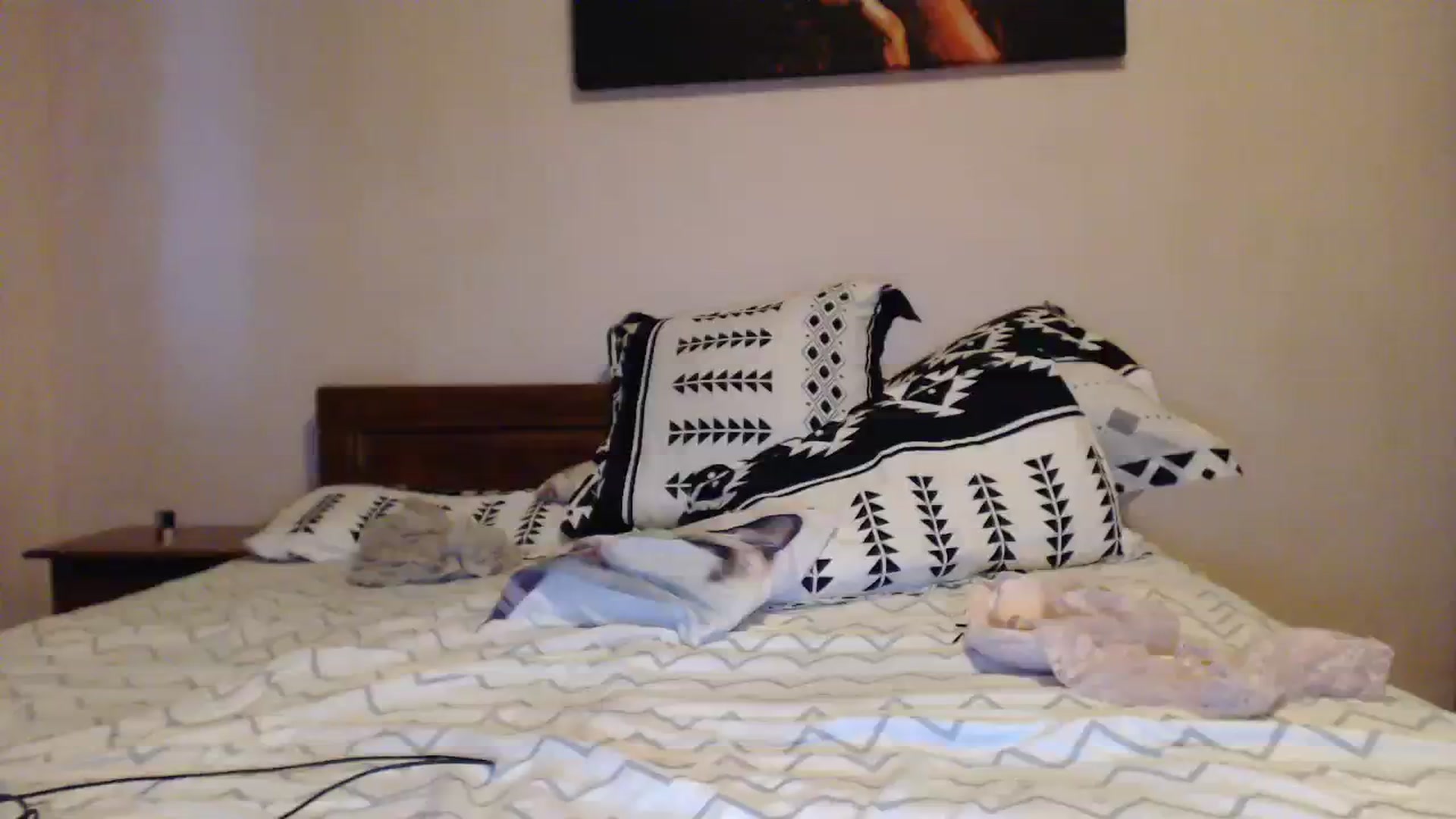 Gallery image thumbnail from Aahh_Emilia's myfreecams stream on, 07/23/2023, 18:07 image 13 of 20